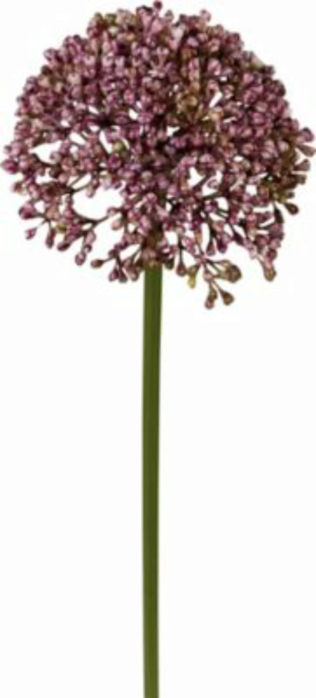Kunstpflanze Allium, 3er-Pack lila günstig online kaufen