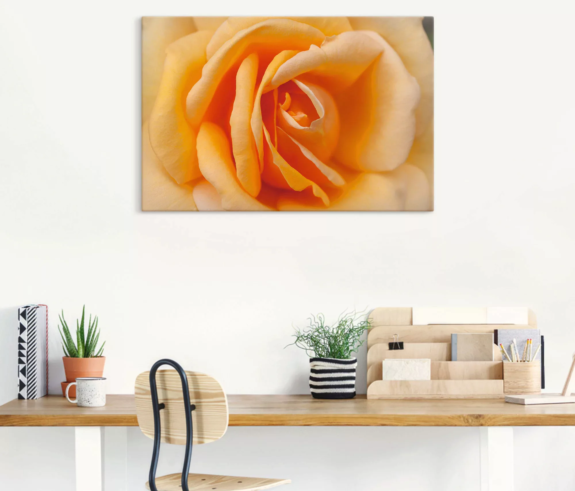 Artland Wandbild »Zarte Rose in Orange«, Blumenbilder, (1 St.), als Leinwan günstig online kaufen
