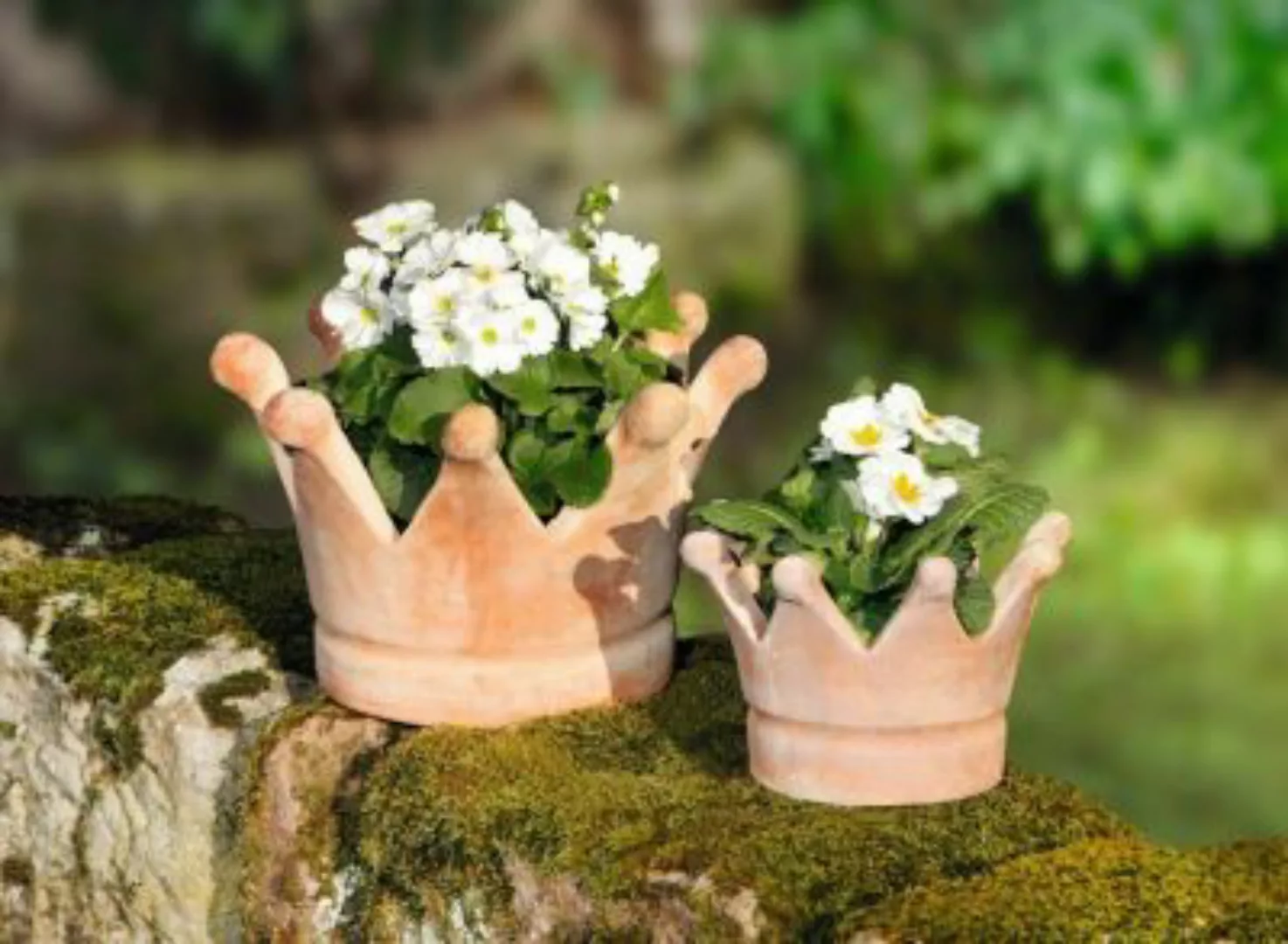 HOME Living Pflanzer Krone Blumentöpfe braun günstig online kaufen