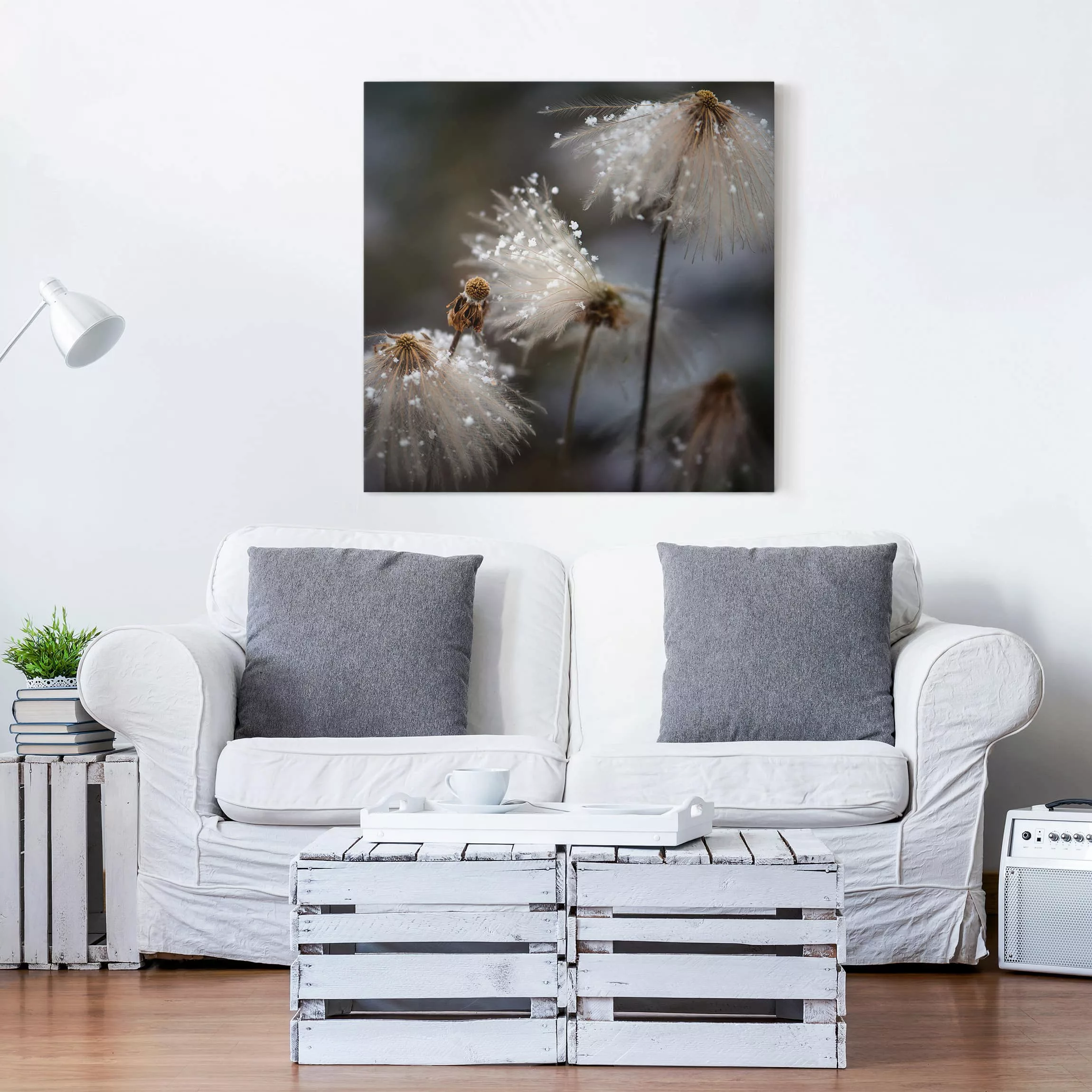 Leinwandbild Blumen - Quadrat Pusteblumen mit Schneeflocken günstig online kaufen
