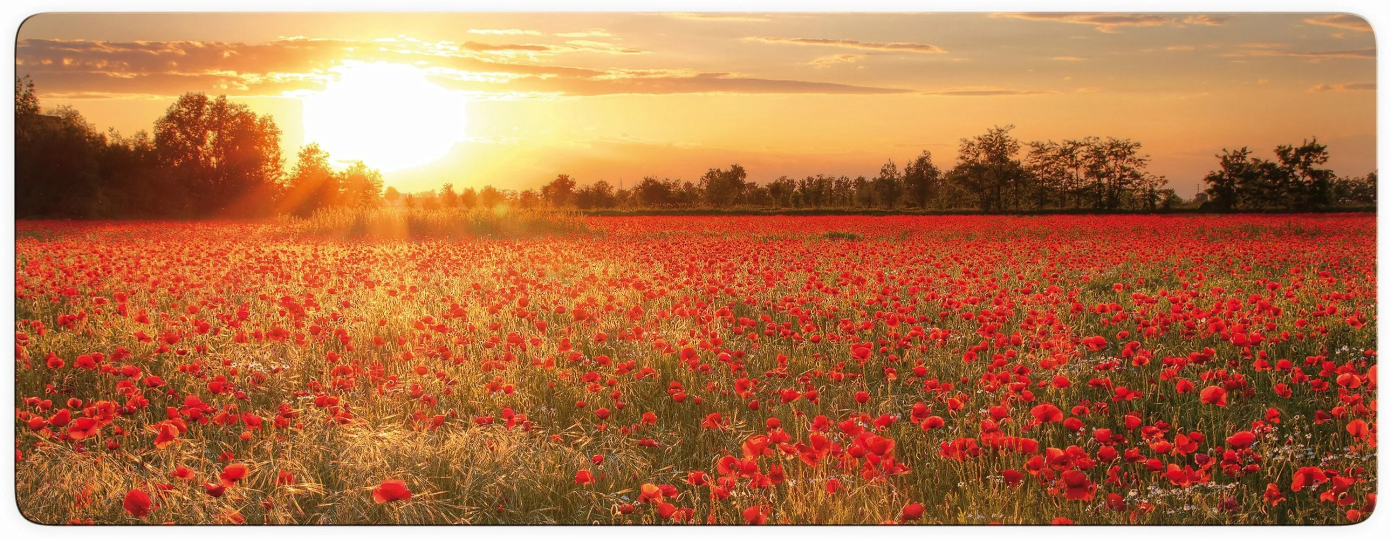 Wall-Art Glasbild "Mohnfeld im Sonnenuntergang Panorama", Gebäude, Glaspost günstig online kaufen