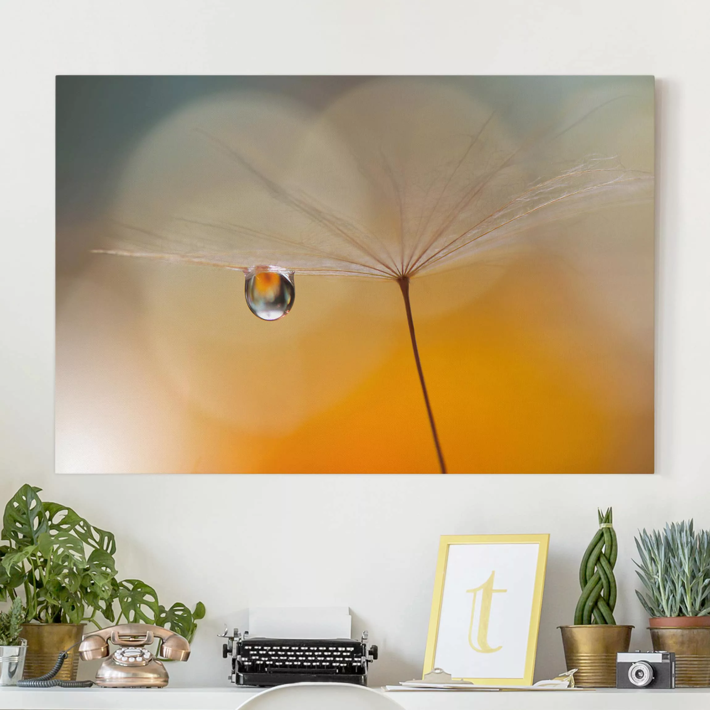 Leinwandbild Blumen - Querformat Pusteblume in Orange günstig online kaufen