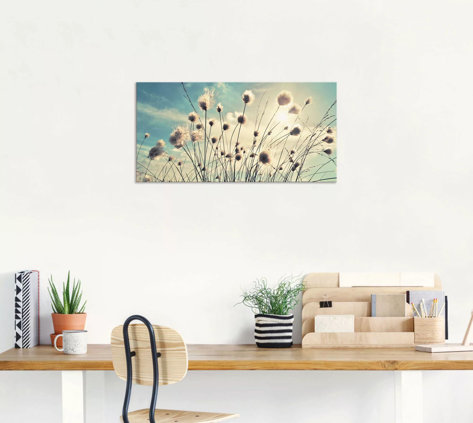 Artland Wandbild "Wollgras", Gräser, (1 St.), als Alubild, Outdoorbild, Lei günstig online kaufen