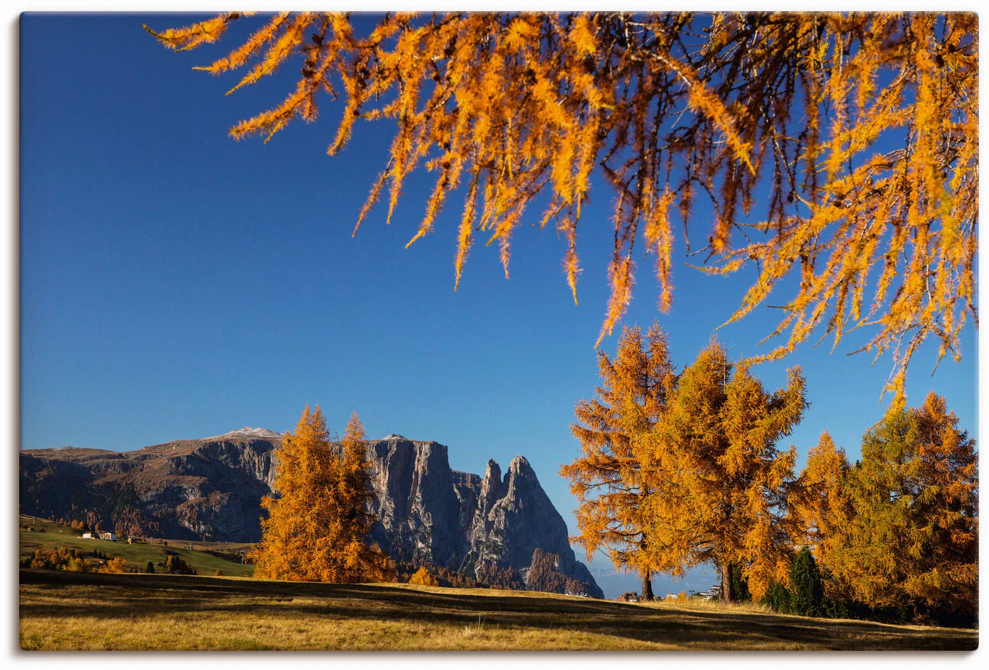 Artland Leinwandbild »Goldener Herbst auf der Seiser Alm«, Wiesen & Baumbil günstig online kaufen