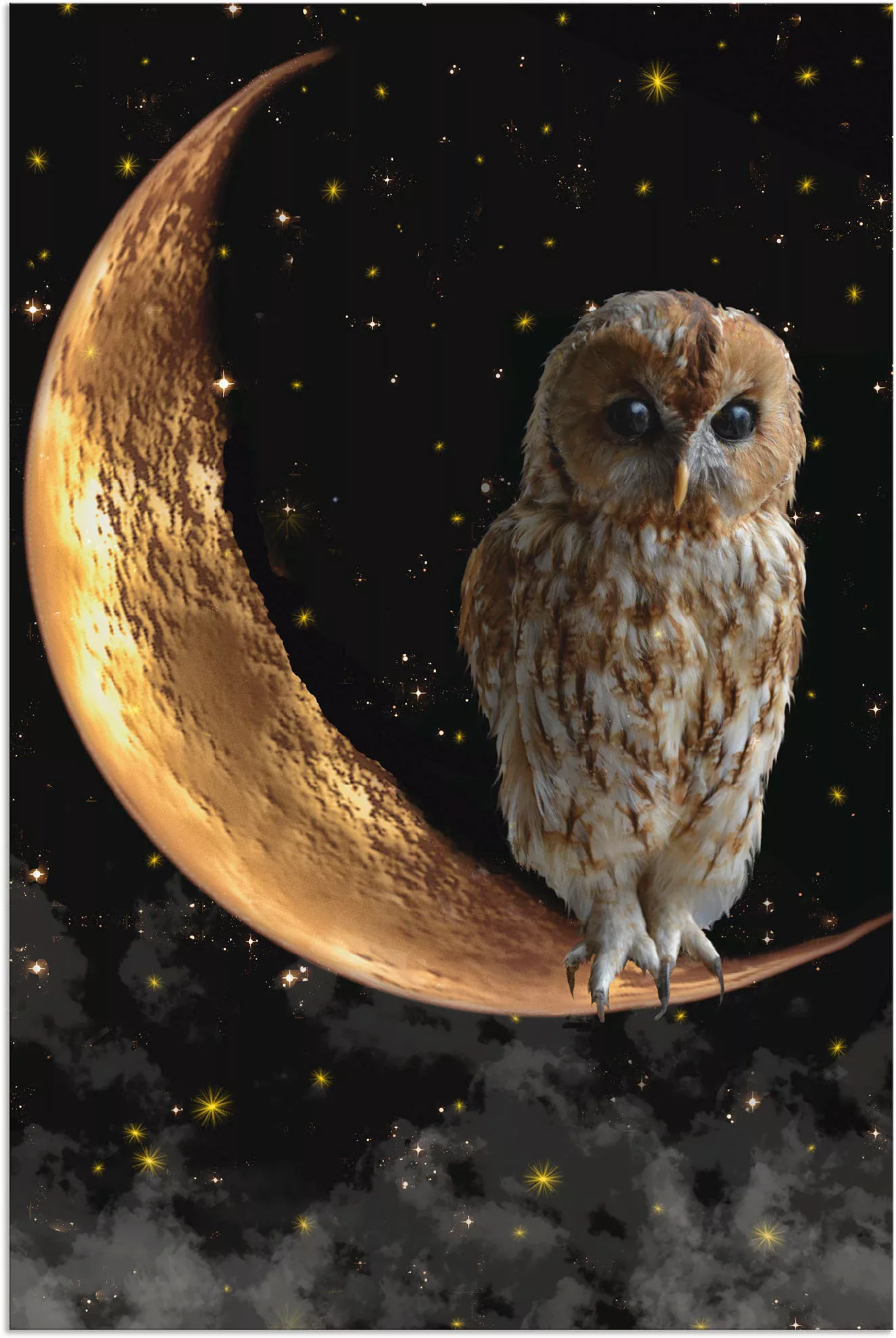 Artland Wandbild "Nachteule", Vögel, (1 St.), als Alubild, Outdoorbild, Lei günstig online kaufen