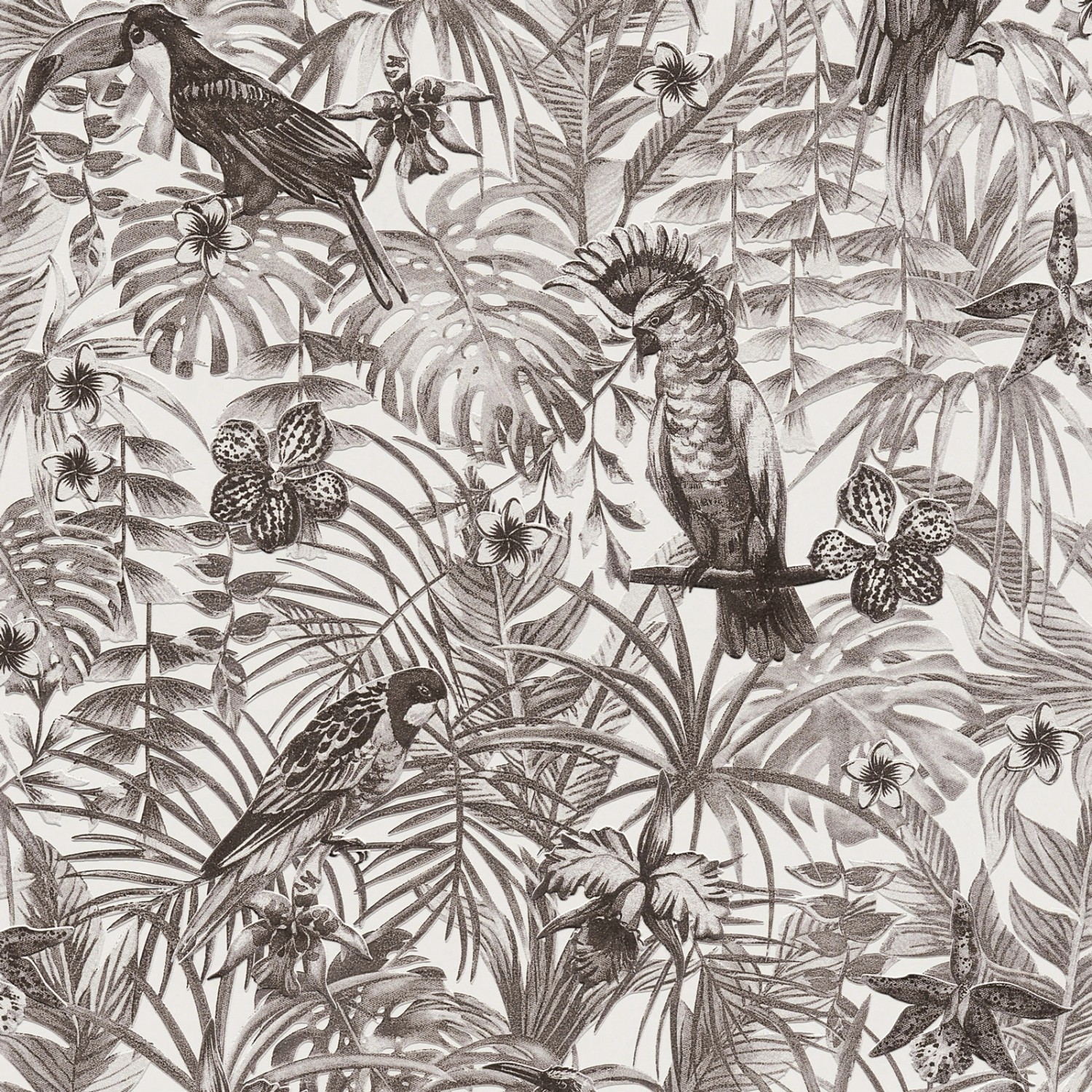 Bricoflor Palmen Tapete in Schwarz Weiß Vogel Vliestapete mit Palmenblätter günstig online kaufen