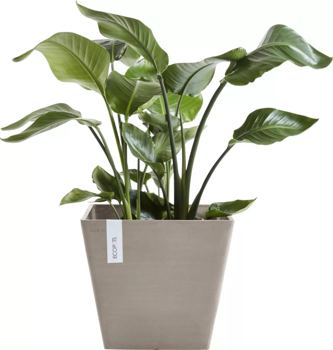 Ecopots Pflanztopf Rotterdam Braungrau 50 cm günstig online kaufen