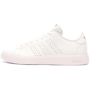 adidas  Sneaker IF4135 günstig online kaufen