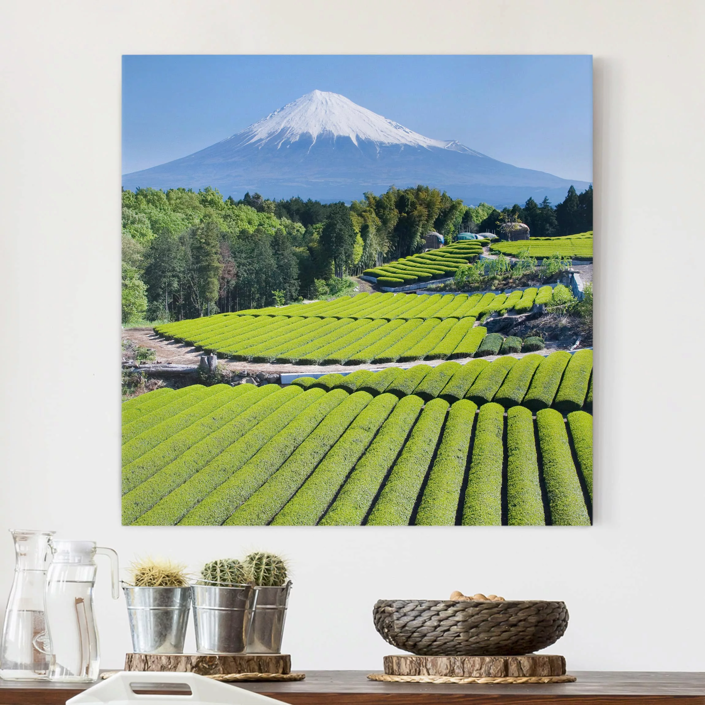 Leinwandbild Berg - Quadrat Teefelder vor dem Fuji günstig online kaufen