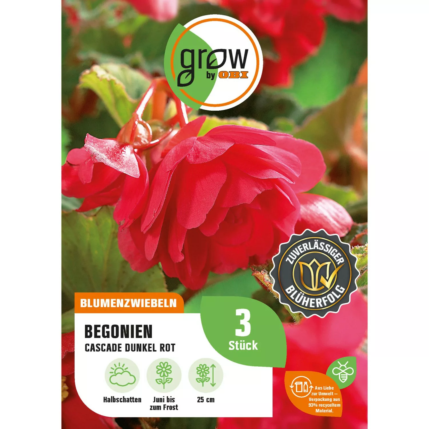 GROW by OBI Begonie Cascade Dunkelrot Höhe ca. 25 cm Begonia cascade günstig online kaufen