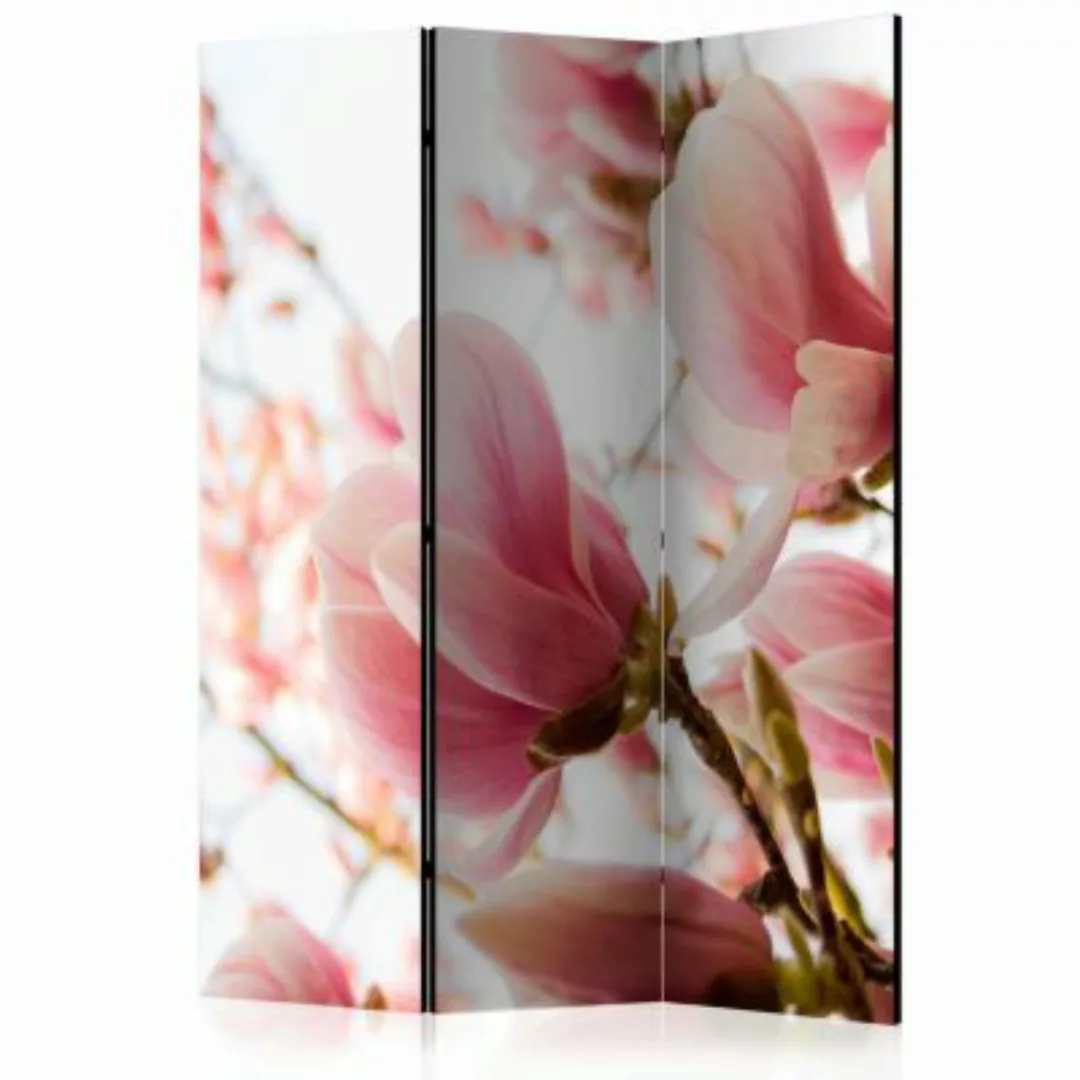 artgeist Paravent Pink magnolia [Room Dividers] mehrfarbig Gr. 135 x 172 günstig online kaufen