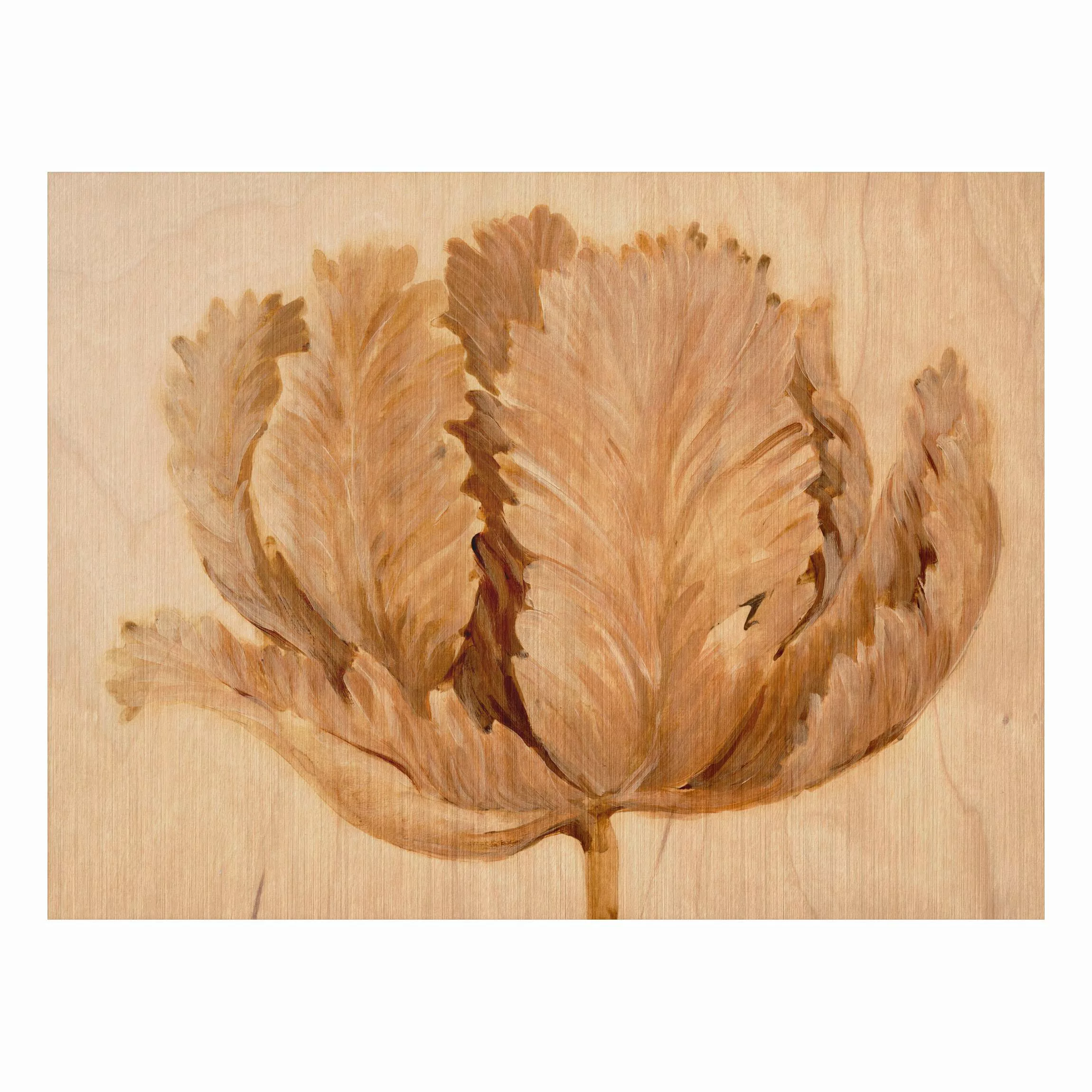 Alu-Dibond Bild Blumen - Querformat 4:3 Sepia Tulpe auf Holz II günstig online kaufen