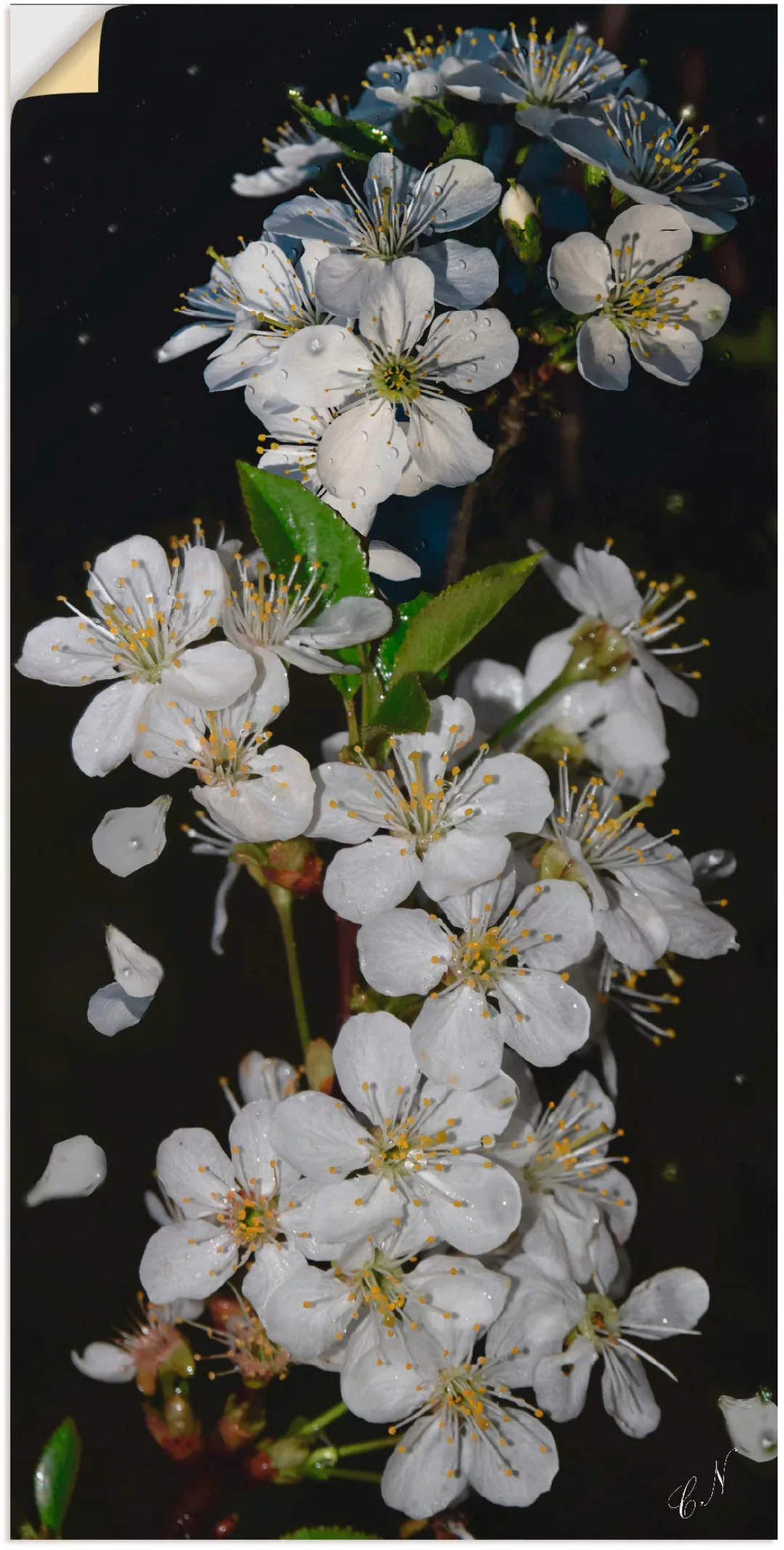 Artland Wandbild »Baumblüte«, Blumen, (1 St.) günstig online kaufen