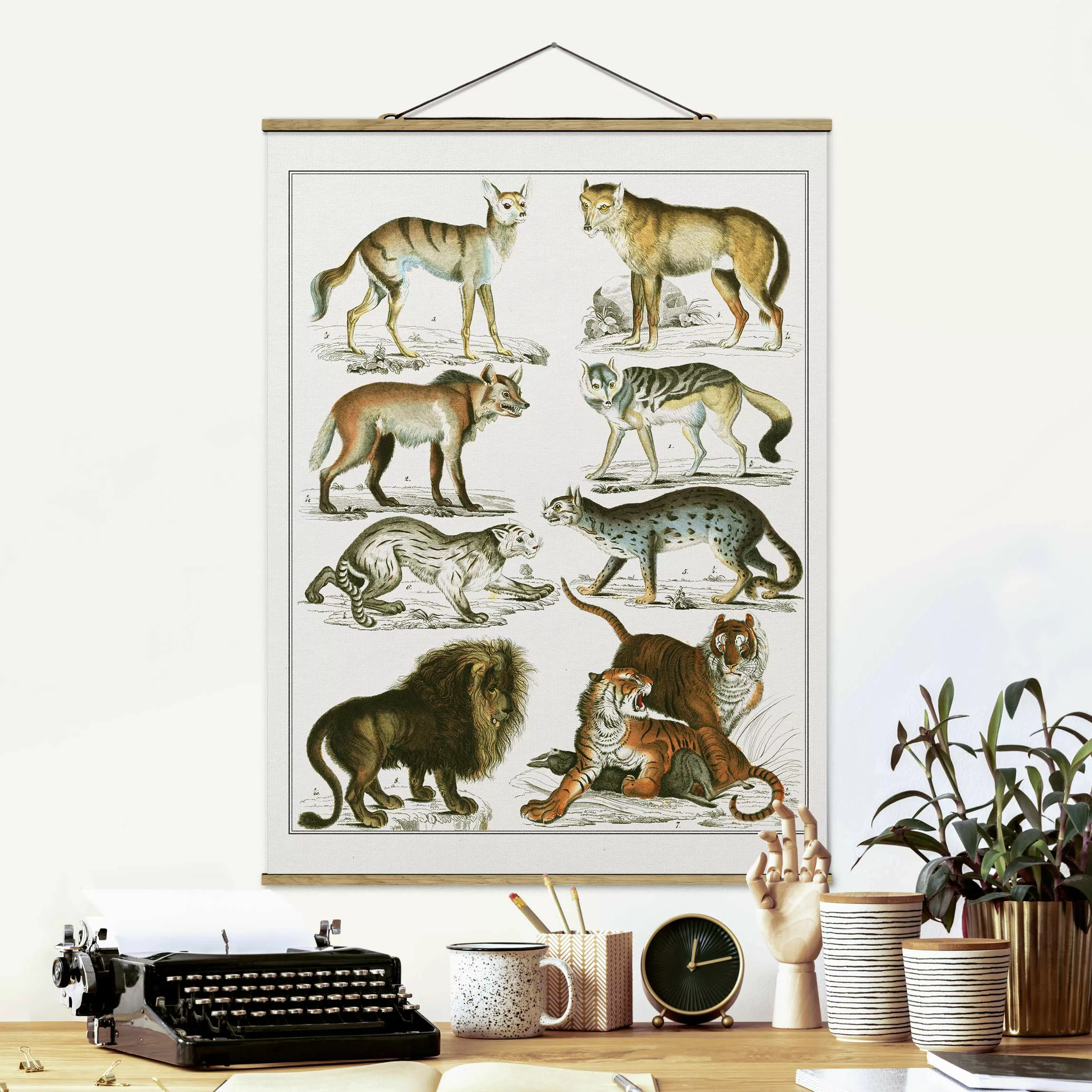 Stoffbild Tiere mit Posterleisten - Hochformat Vintage Lehrtafel Löwe, Tige günstig online kaufen