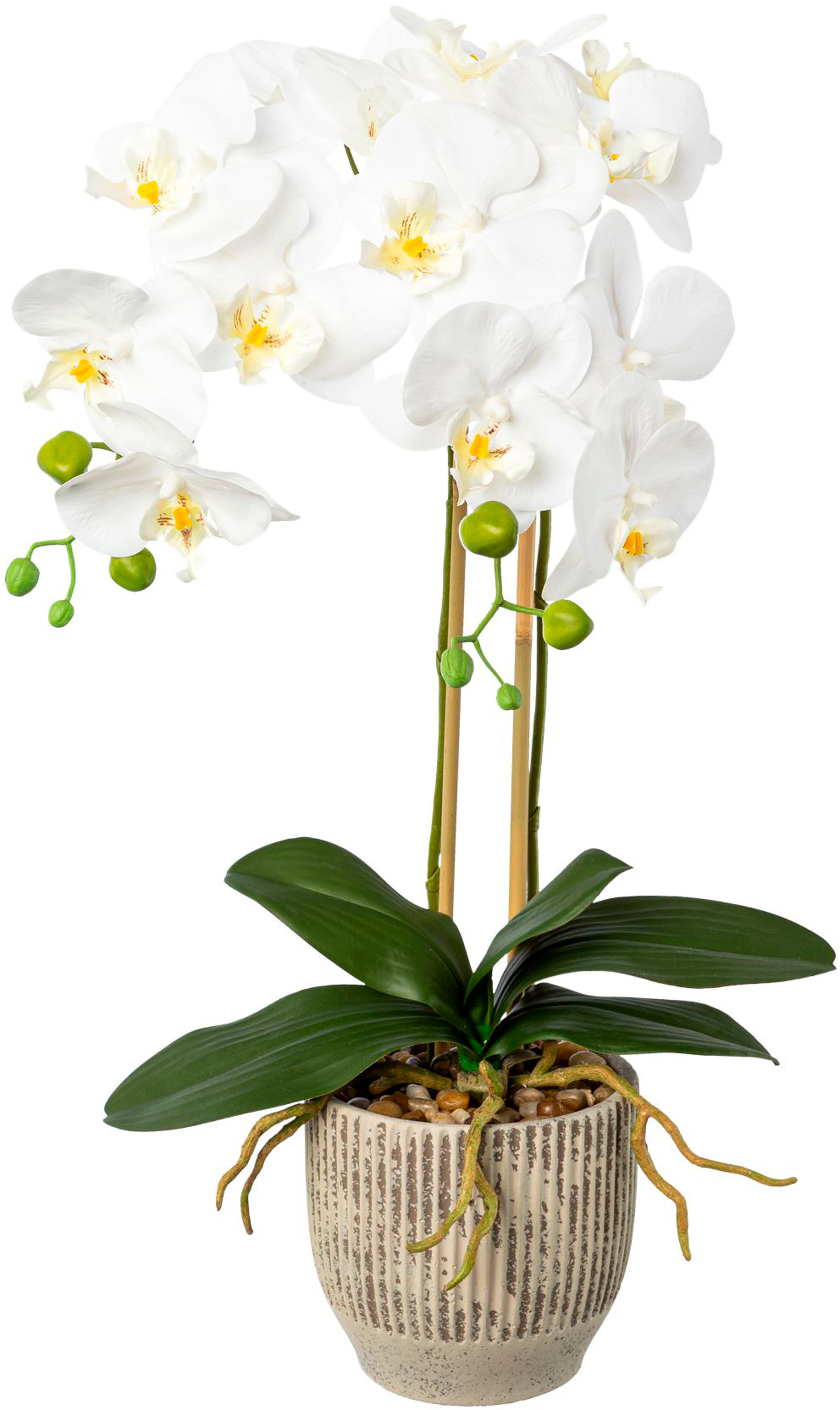 Creativ green Kunstorchidee "Orchidee Phalaenopsis im Keramiktopf" günstig online kaufen