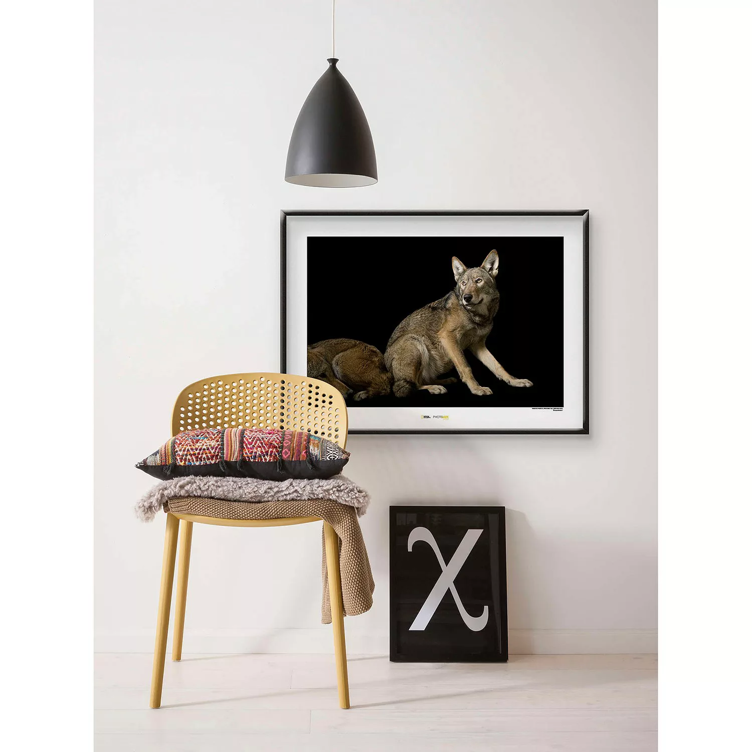 KOMAR Wandbild - Red Wolf - Größe: 70 x 50 cm mehrfarbig Gr. one size günstig online kaufen