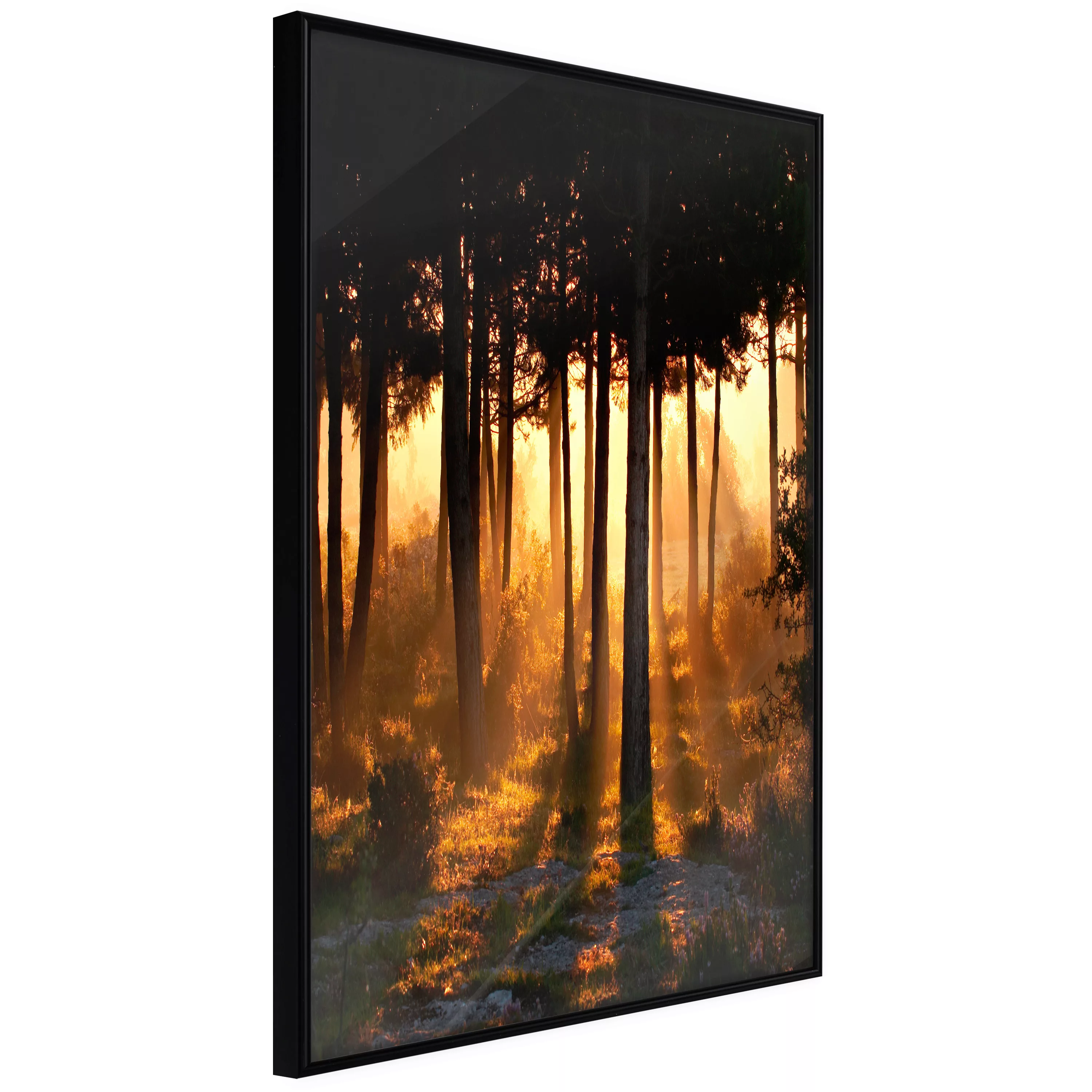 Poster - Dark Tree Tops günstig online kaufen