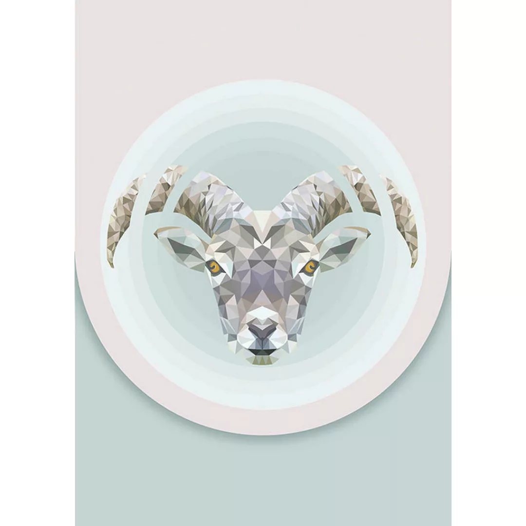 Komar Wandbild Capricorn Tiere B/L: ca. 50x70 cm günstig online kaufen