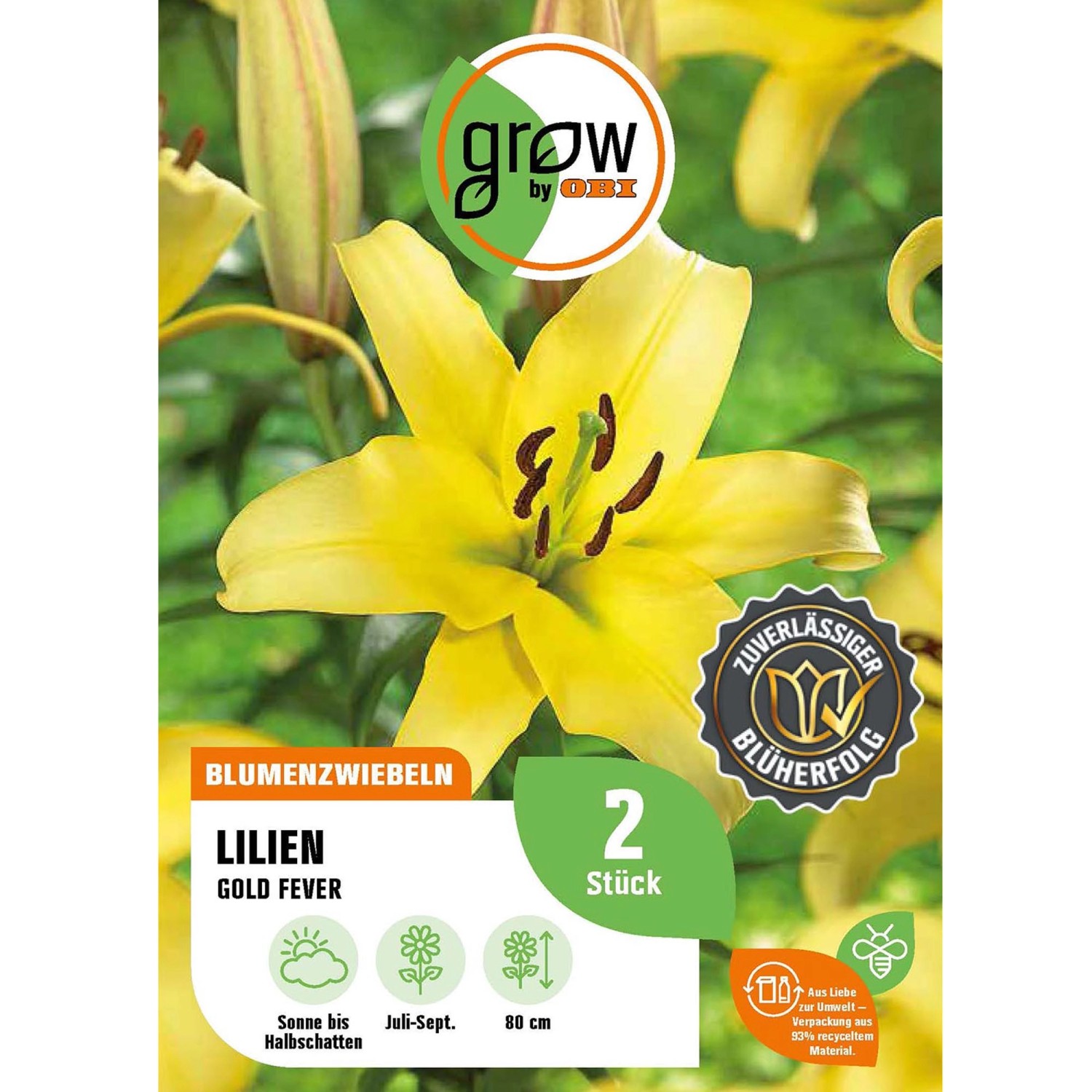 GROW by OBI Lilie Oriental Gold Fever Höhe ca. 80 cm Lilium oriental günstig online kaufen