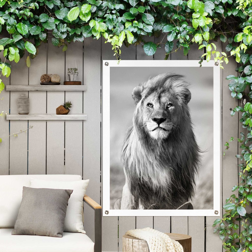 Reinders Poster "Löwe", Outdoor für Garten oder Balkon günstig online kaufen