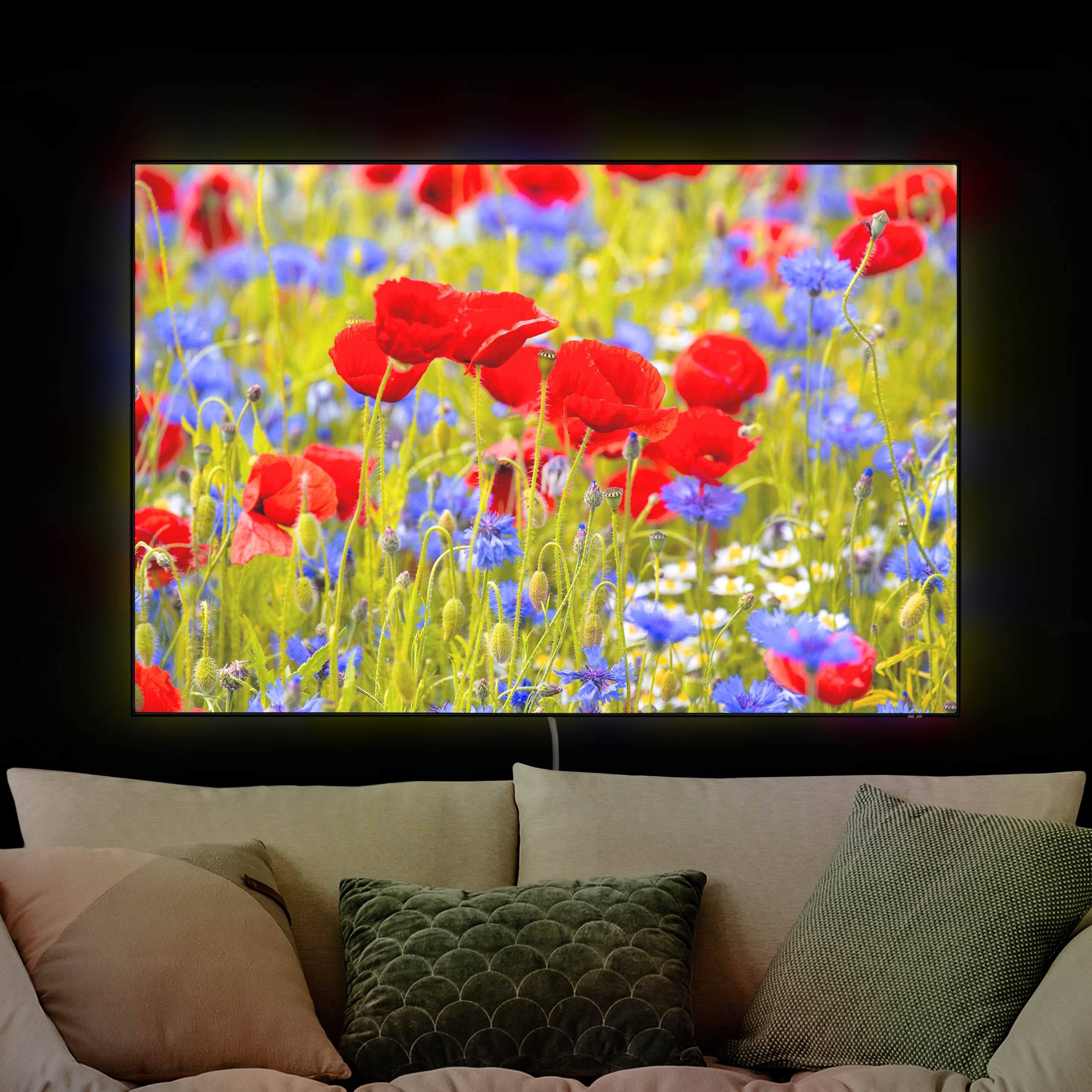 LED-Wechselbild Sommerwiese mit Mohn und Kornblumen günstig online kaufen