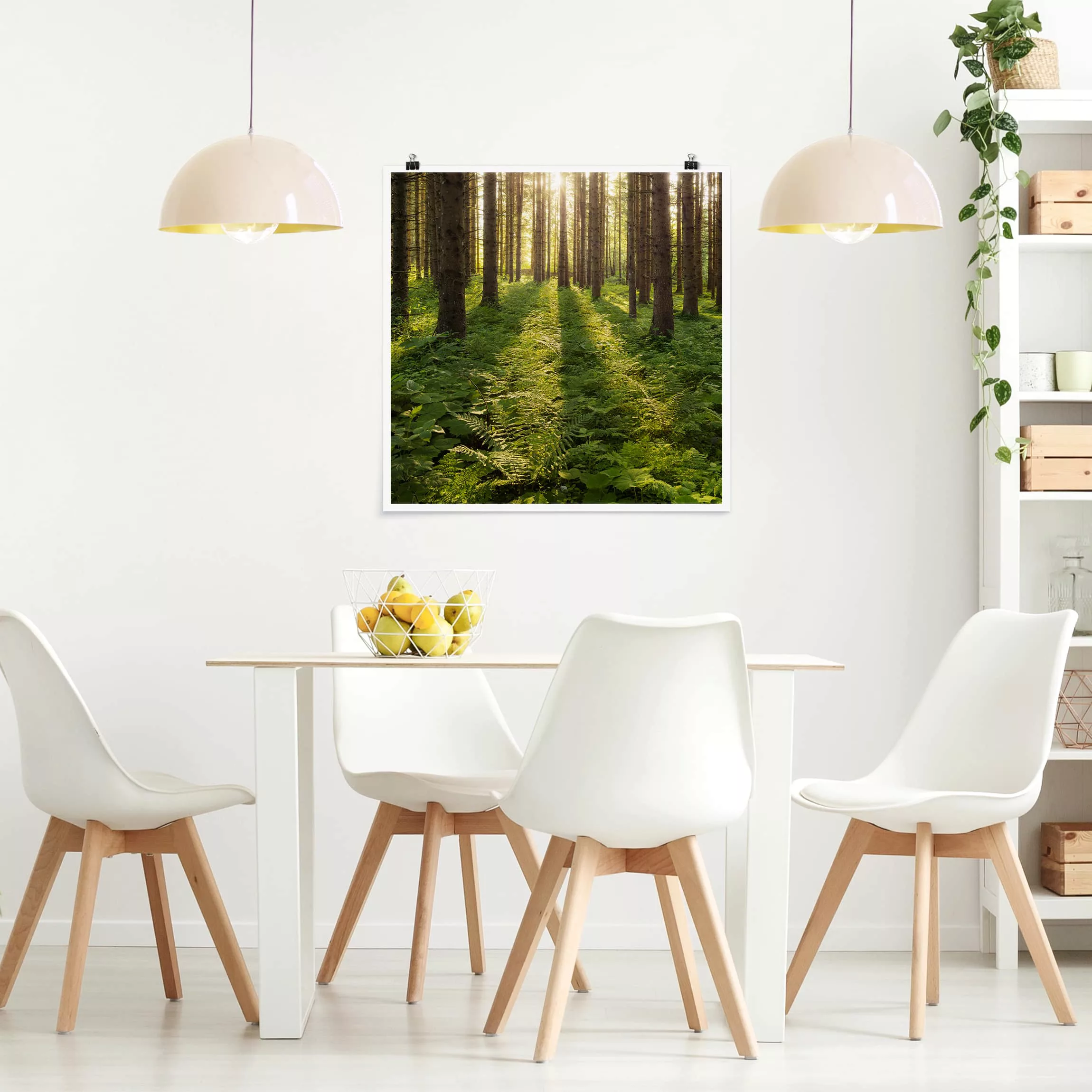 Poster Natur & Landschaft - Quadrat Sonnenstrahlen in grünem Wald günstig online kaufen