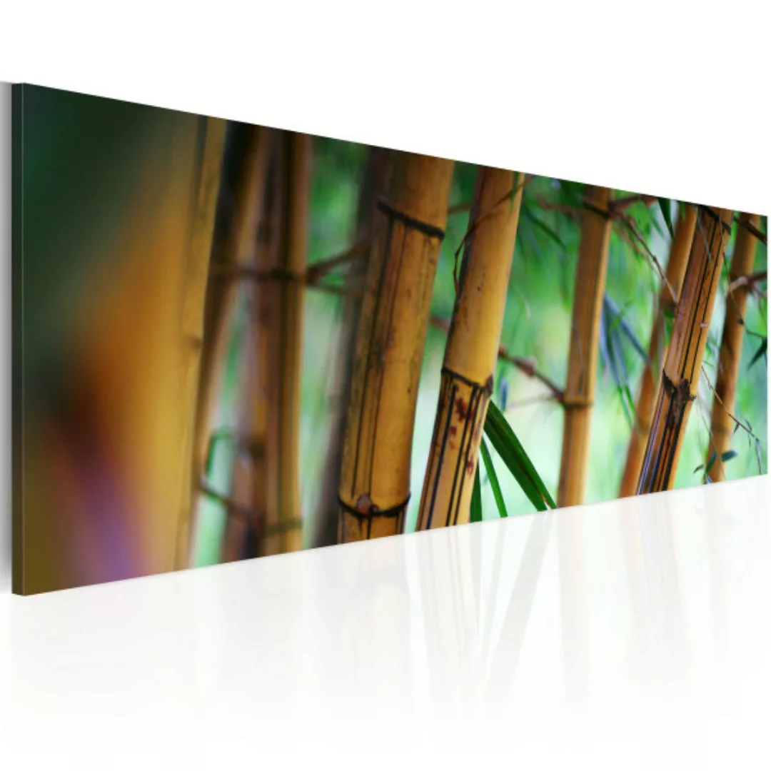 Wandbild Wild bamboos XXL günstig online kaufen