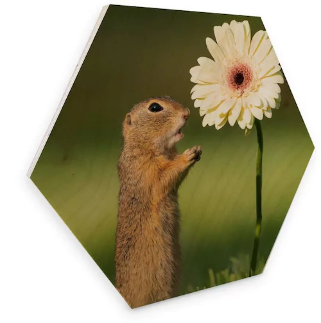 Wall-Art Holzbild »Eichhörnchen Holzbild Blumen«, (1 St.), Vintage Holzschi günstig online kaufen