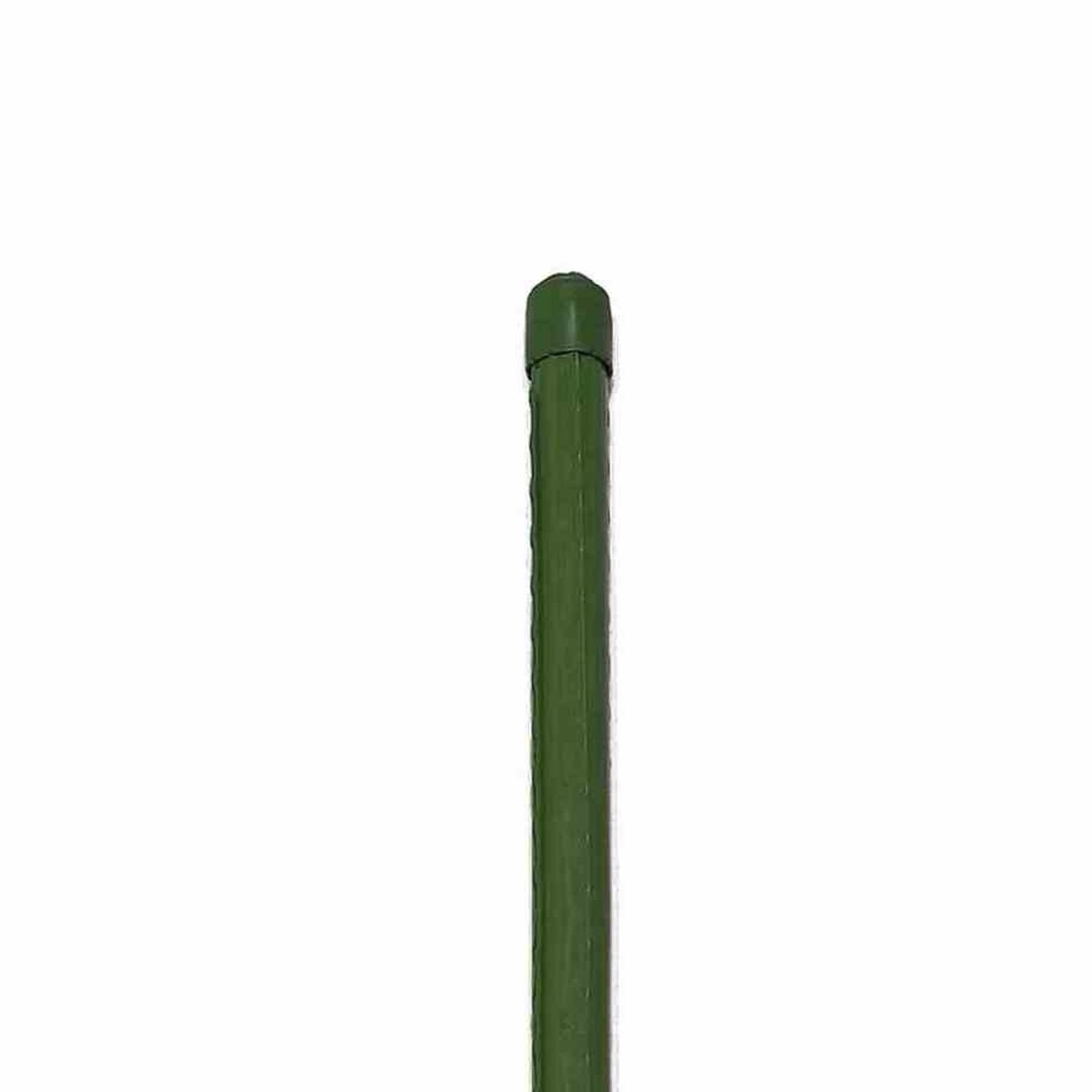 Siena Garden Rankhilfe Pflanzstab 11 mm günstig online kaufen