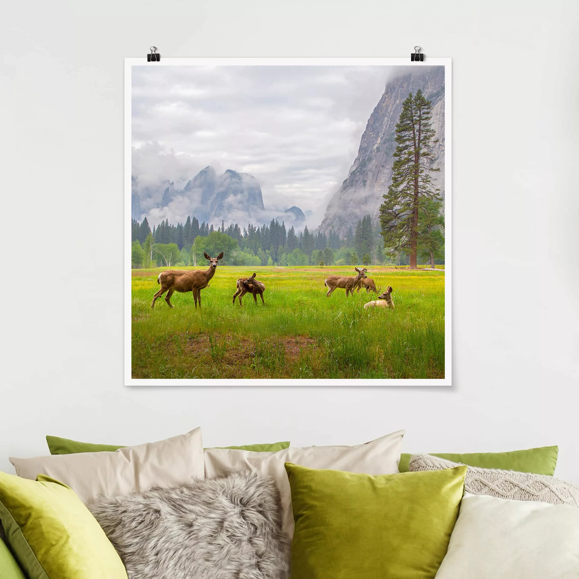 Poster Tiere - Quadrat Rehe in den Bergen günstig online kaufen