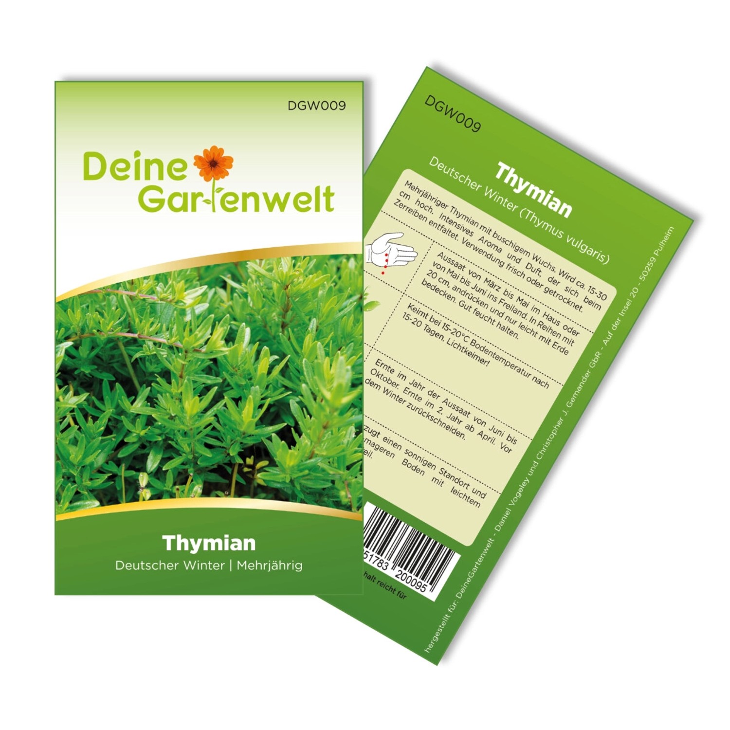 Deine Gartenwelt Thymian Deutscher Winter Samen günstig online kaufen