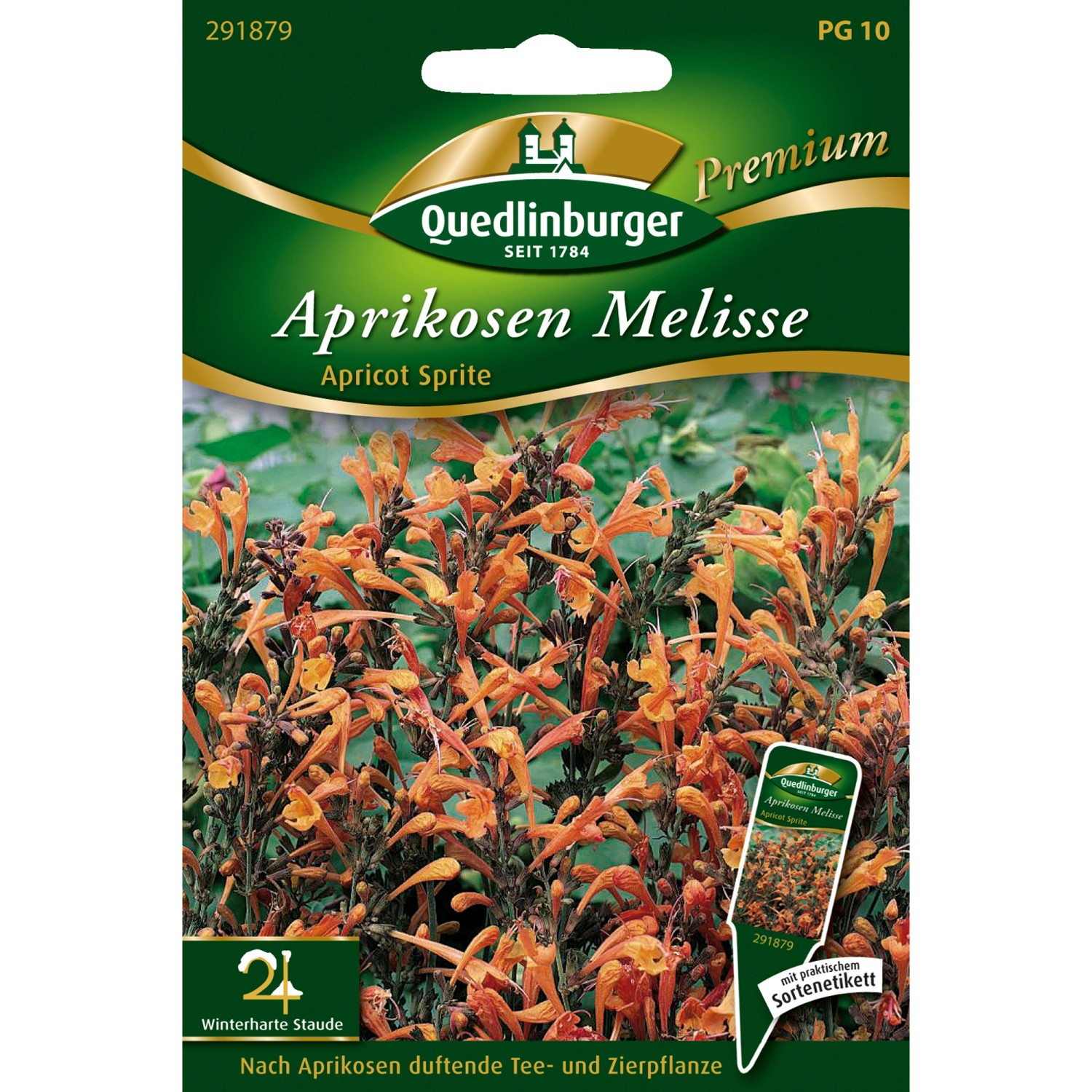 Quedlinburger Aprikosen-Melisse Apricot Sprite Loses Saatgut günstig online kaufen