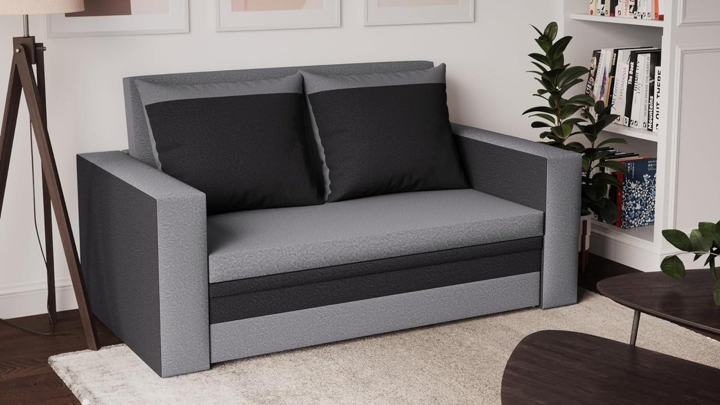 FORNIRO 24 2-Sitzer 2 Sitzen Sofa mit Schlaffunktion, Bettkasten und Kissen günstig online kaufen