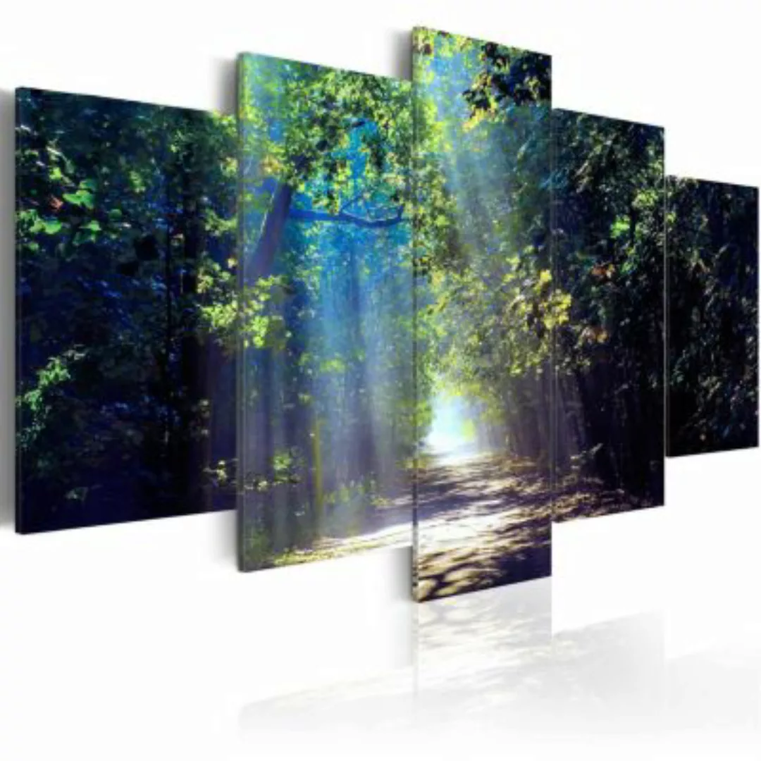 artgeist Wandbild Sunny Forest Path mehrfarbig Gr. 200 x 100 günstig online kaufen