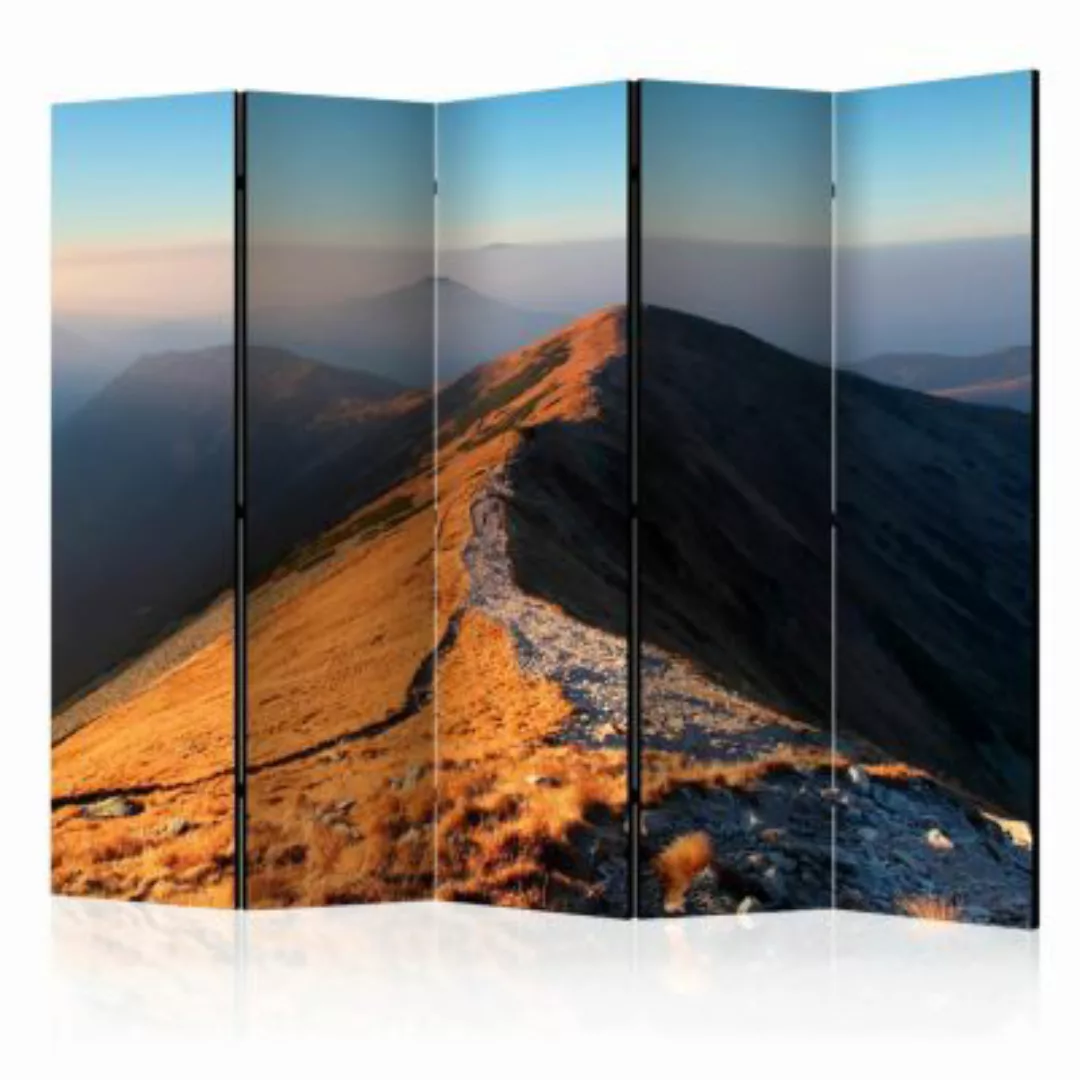artgeist Paravent Mountain footpath, Tatras II [Room Dividers] grau-kombi G günstig online kaufen