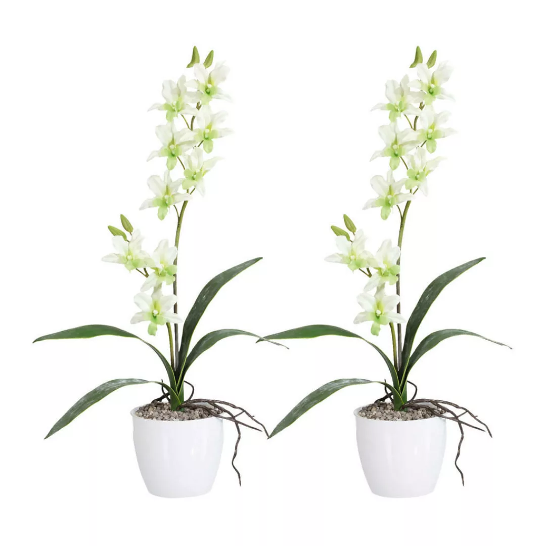 Kunstpflanze Orchidee Dendrobie grün Kunststoff B/H/L: ca. 17x55x17 cm günstig online kaufen