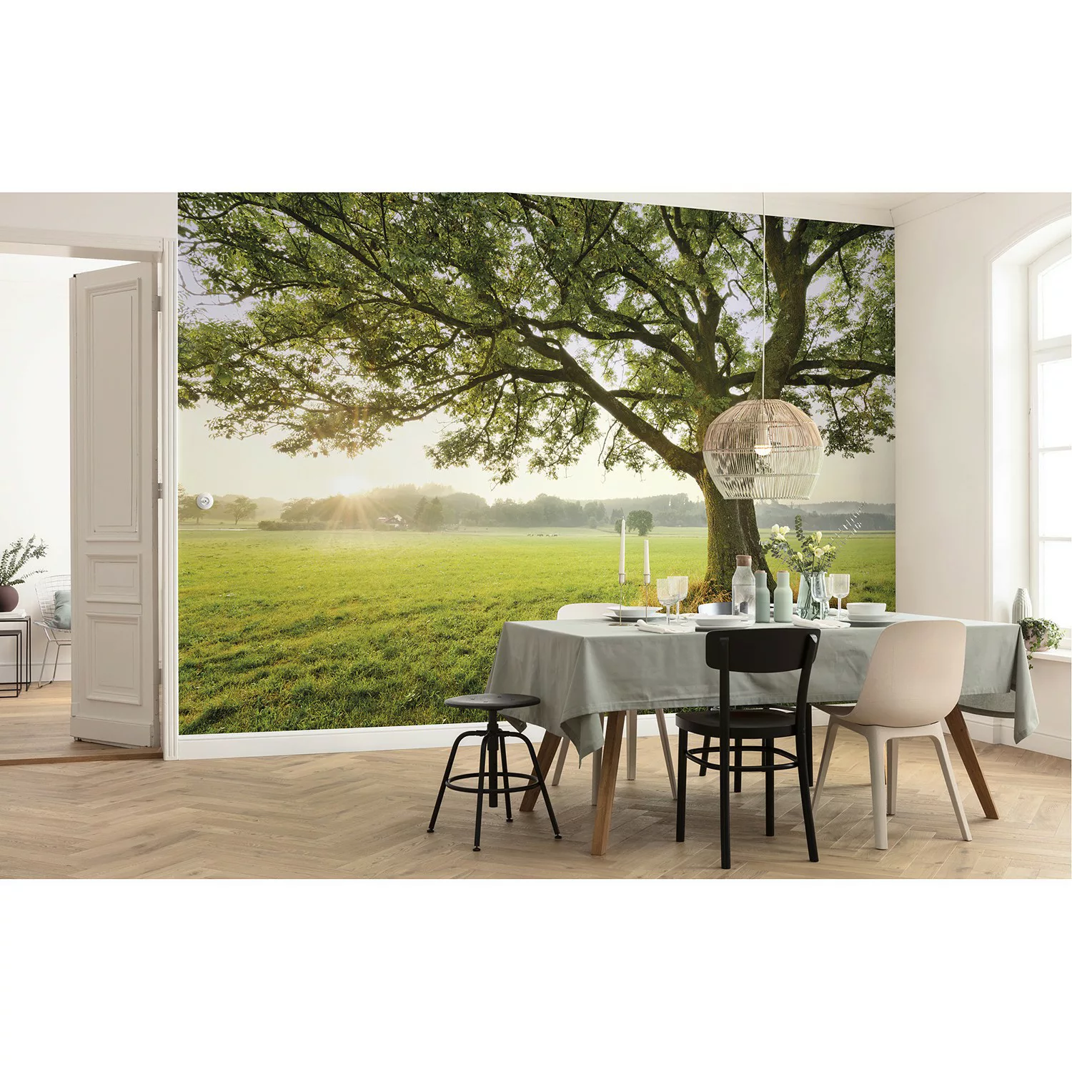 KOMAR Vlies Fototapete - The Magic Tree - Größe 450 x 280 cm mehrfarbig günstig online kaufen