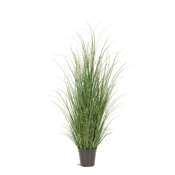 Zebragras Miscanthus Sinensis Kunstpflanze, Höhe 100 cm günstig online kaufen