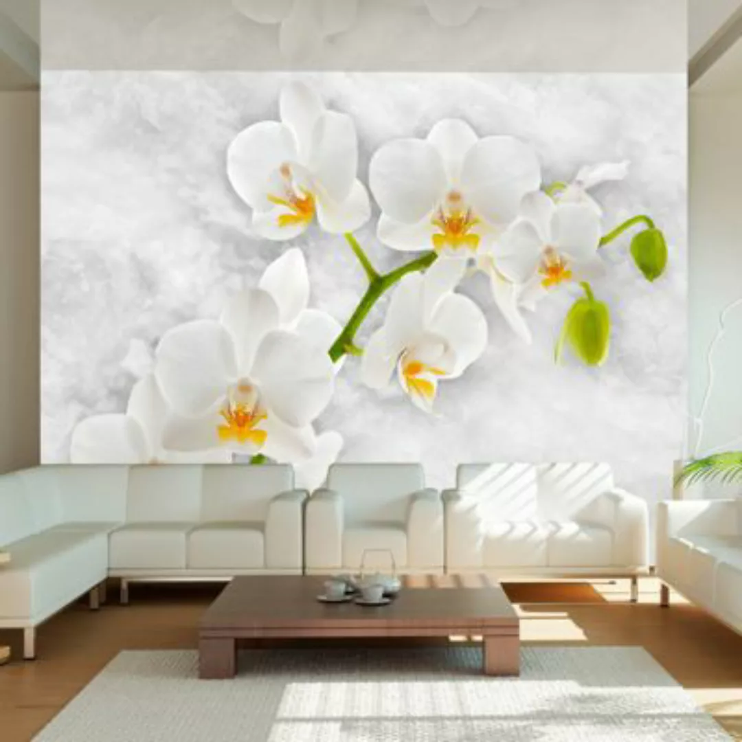 artgeist Fototapete Lyrical orchid - White mehrfarbig Gr. 400 x 280 günstig online kaufen