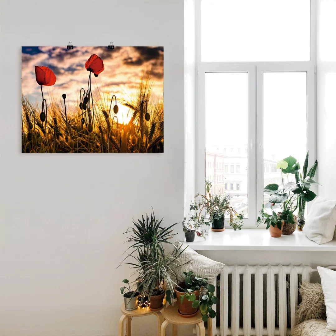 Artland Wandbild »Mohnblumen im Sonnenuntergang«, Blumen, (1 St.), als Alub günstig online kaufen