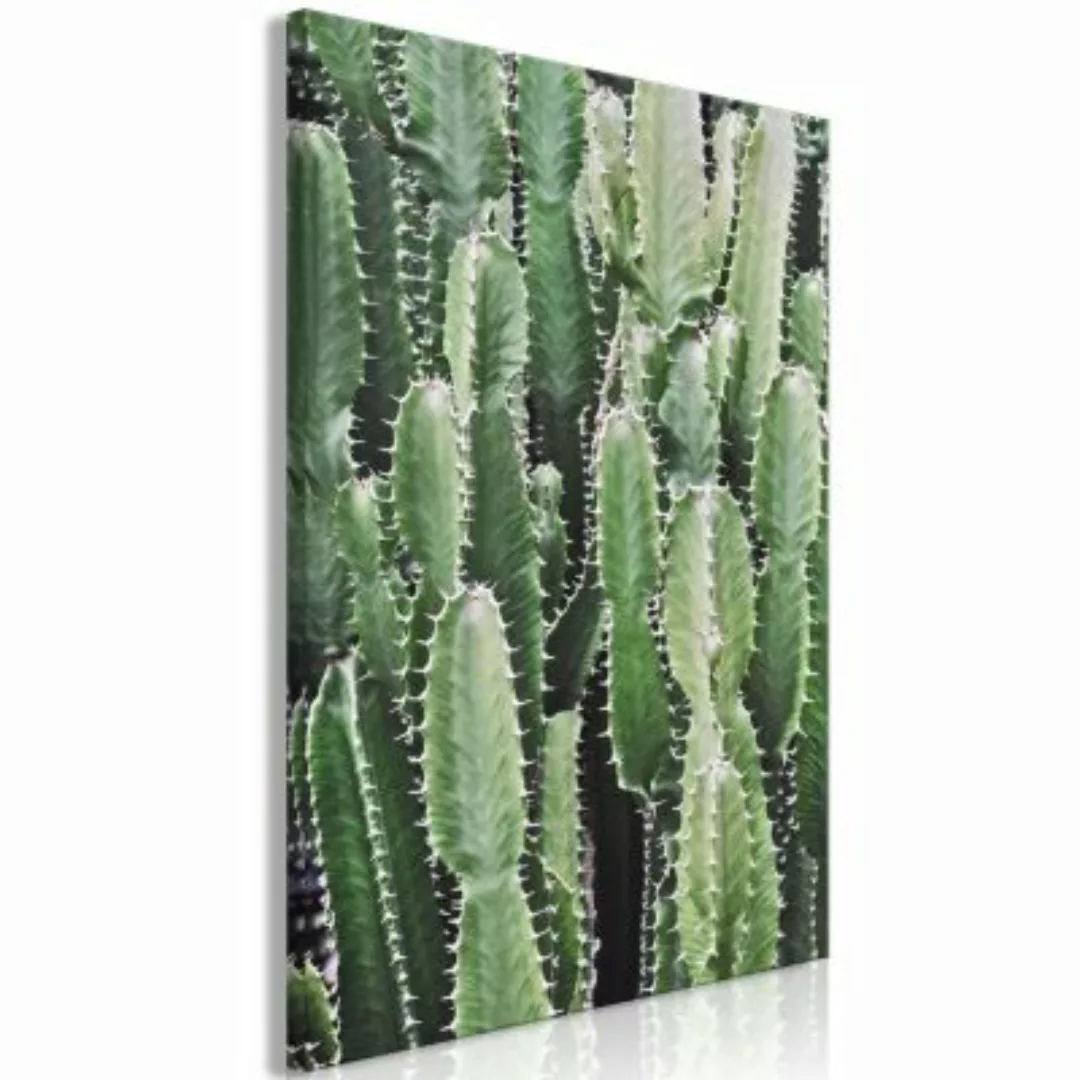artgeist Wandbild Cactus Garden (1 Part) Vertical mehrfarbig Gr. 40 x 60 günstig online kaufen