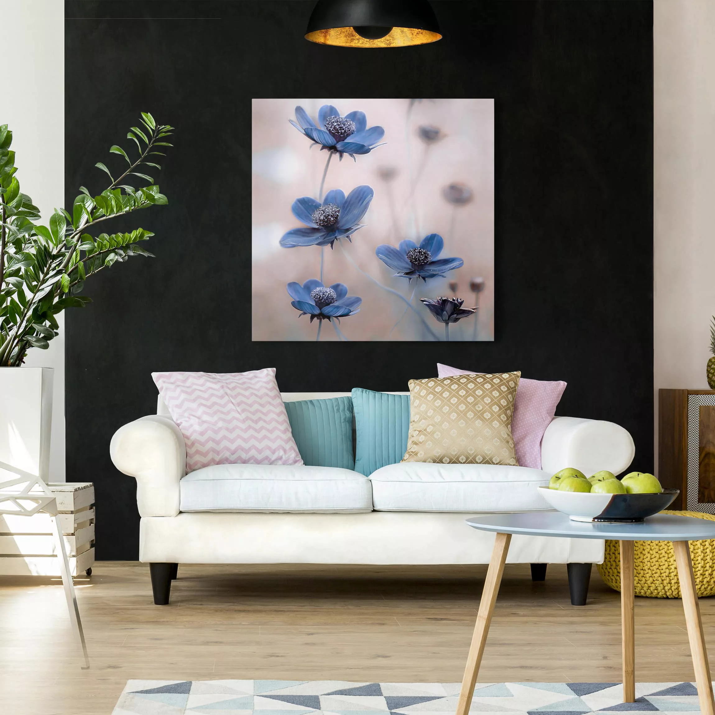 Leinwandbild Blumen - Quadrat Blaue Kosmeen günstig online kaufen