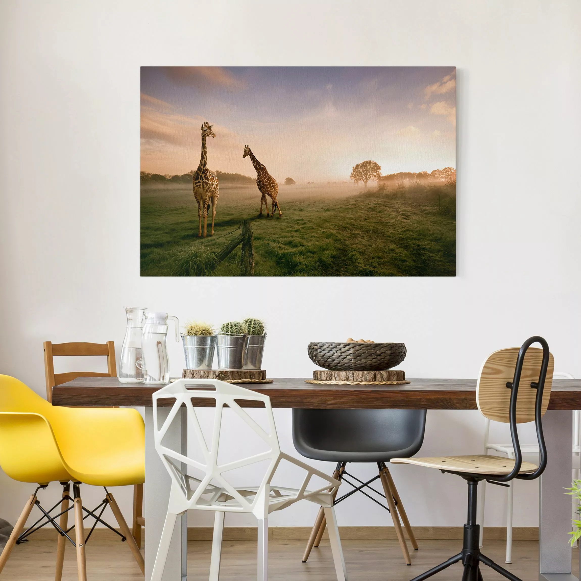 Leinwandbild Tiere - Querformat Surreal Giraffes günstig online kaufen