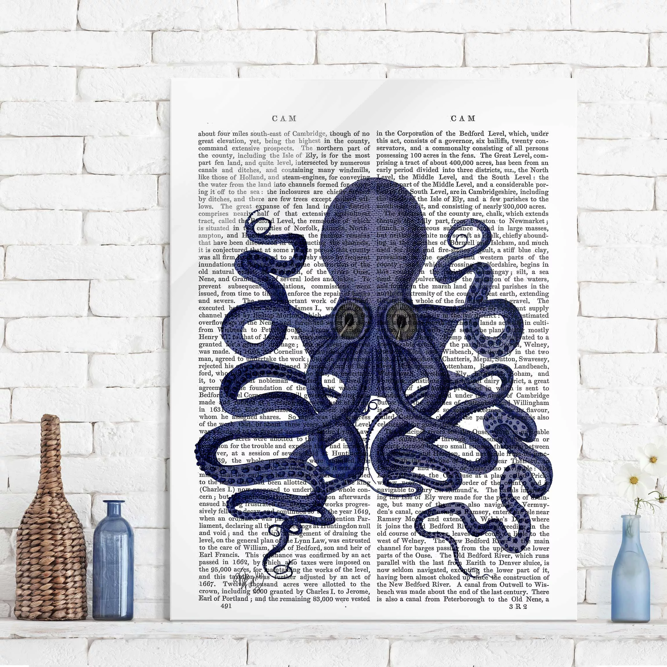 Glasbild Spruch - Hochformat Tierlektüre - Oktopus günstig online kaufen