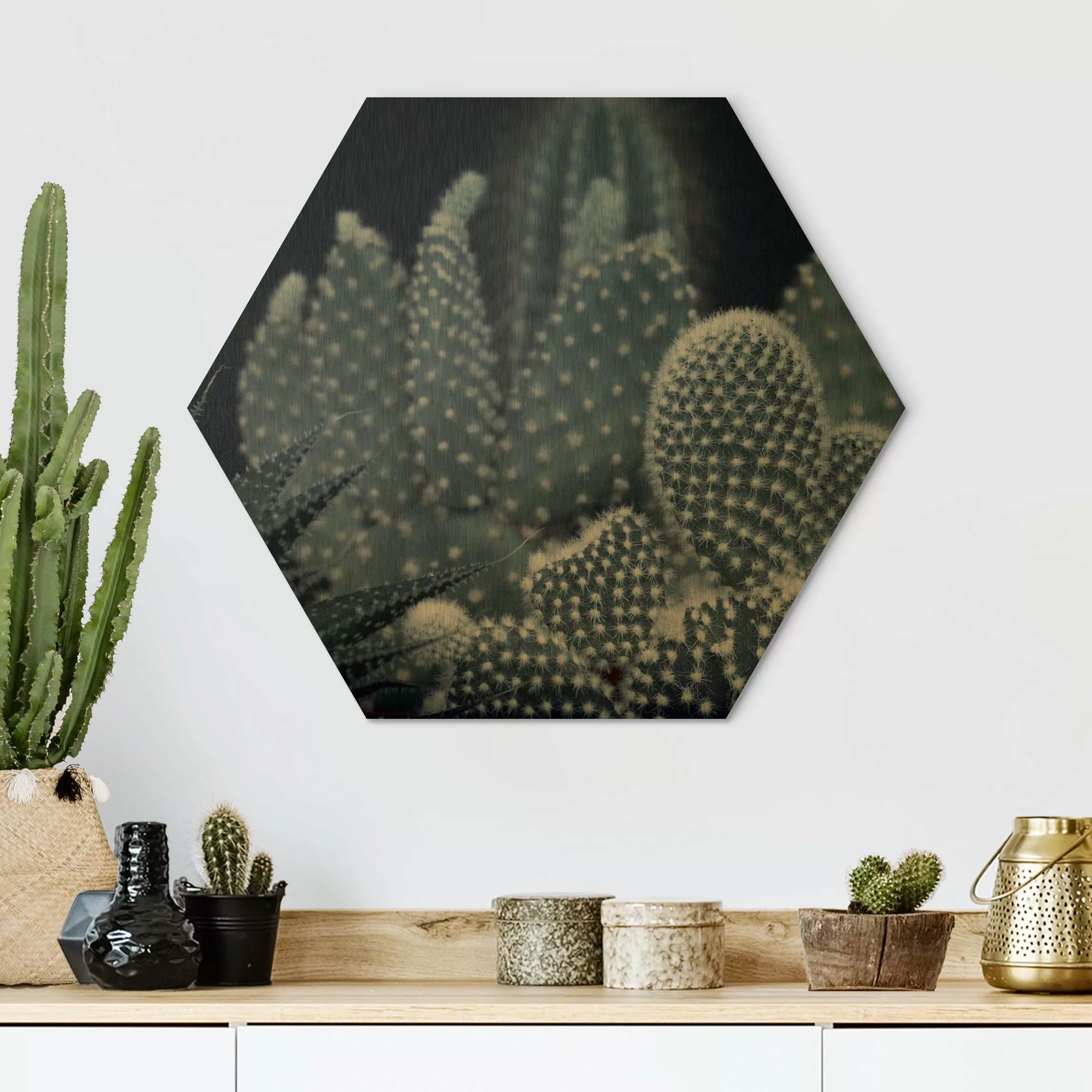 Hexagon-Alu-Dibond Bild Kakteenfamilie bei Nacht günstig online kaufen