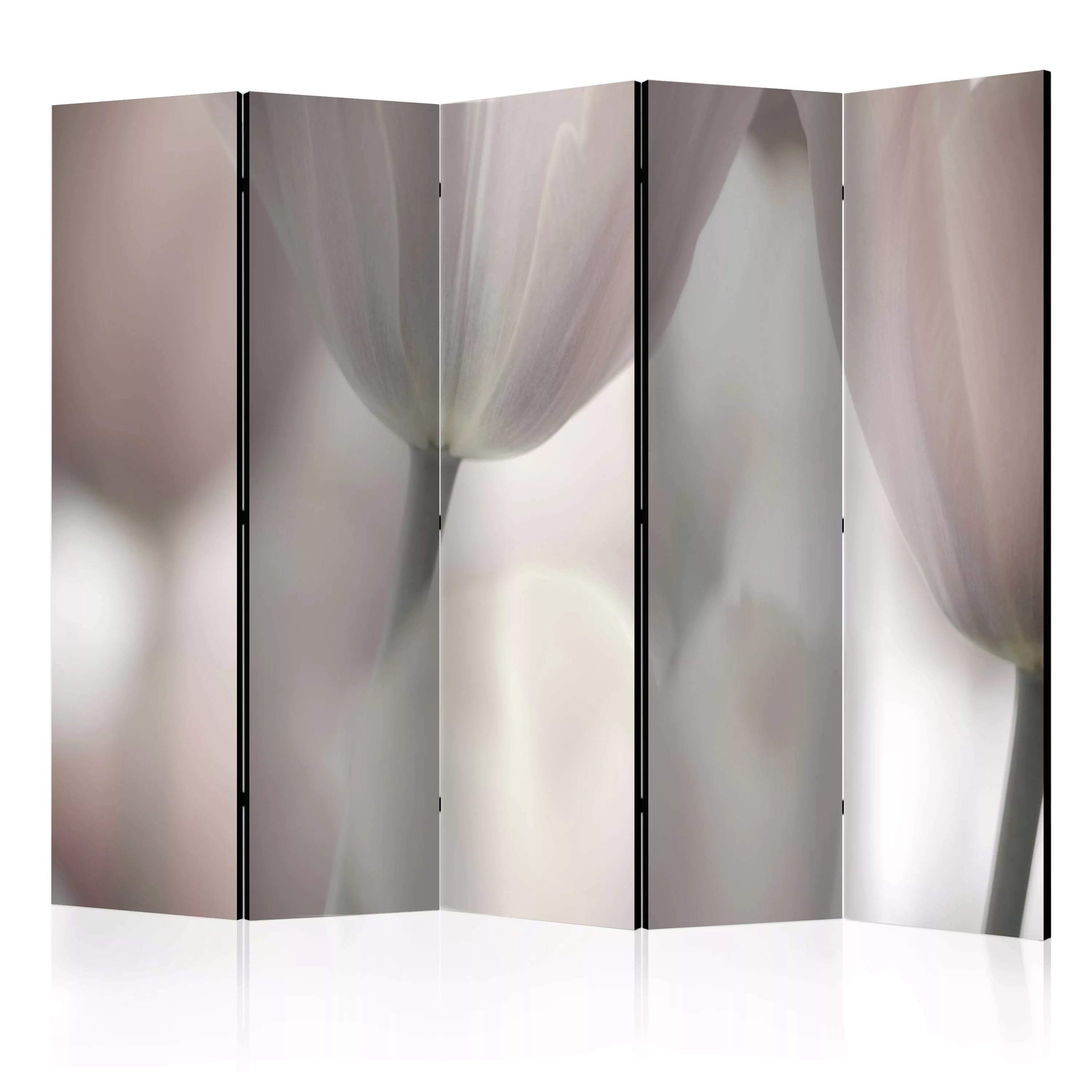 5-teiliges Paravent - Tulips Fine Art - Black And White Ii [room Dividers] günstig online kaufen