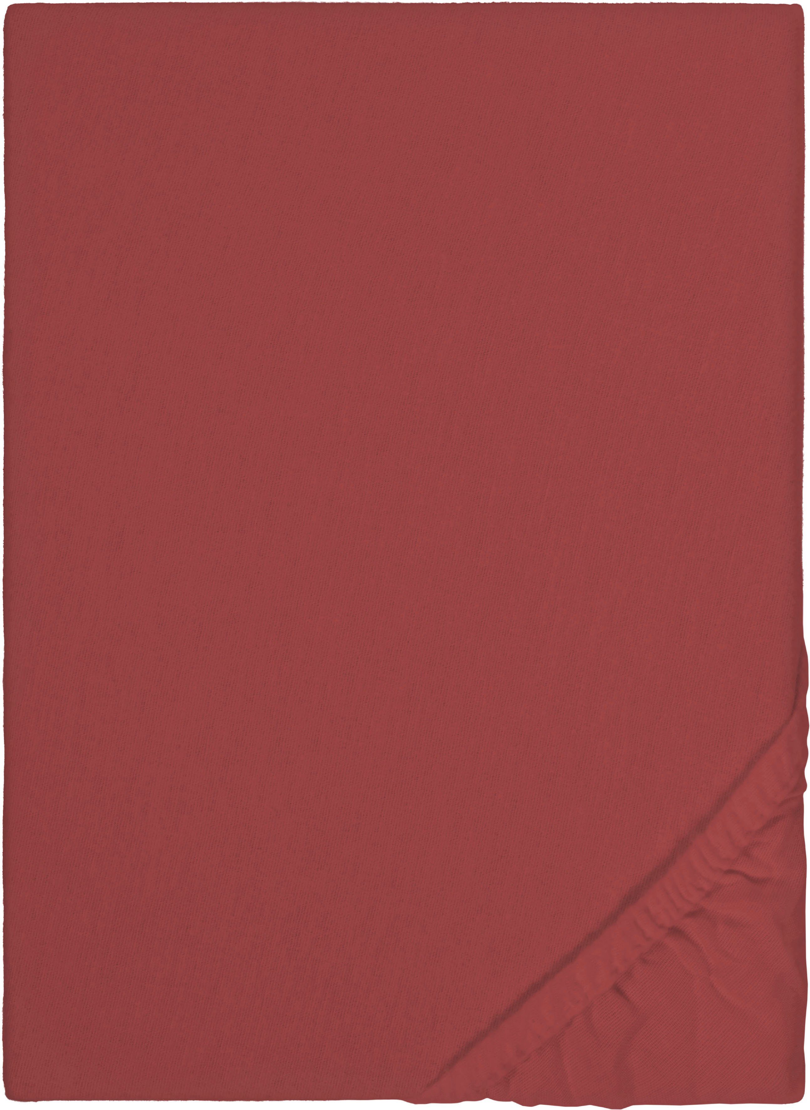 Biberna Spannbettlaken Biber in Gr. 90x200, günstig online kaufen