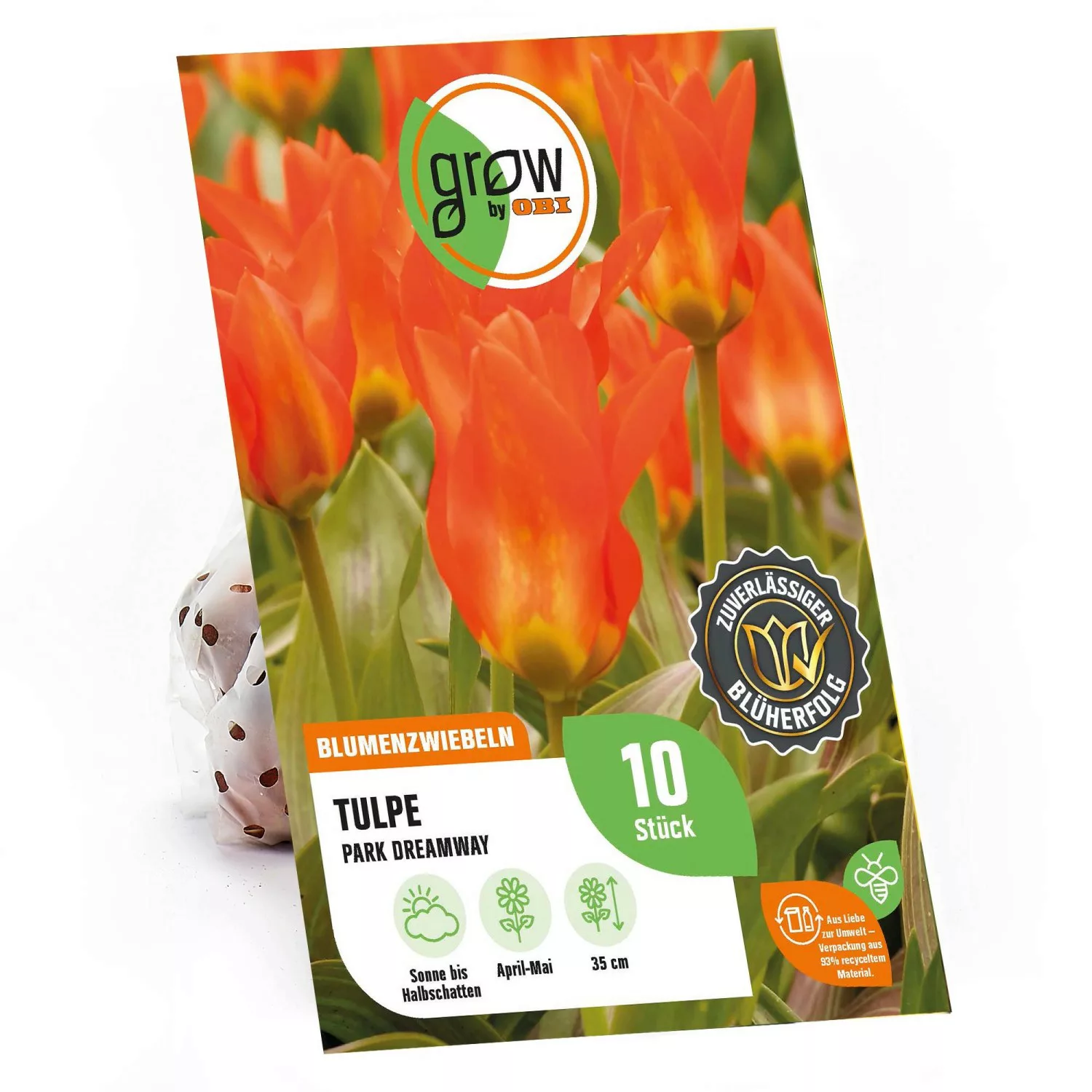 GROW by OBI Tulpe Park Dreamway Rot 35 cm Tulipa fosteriana günstig online kaufen