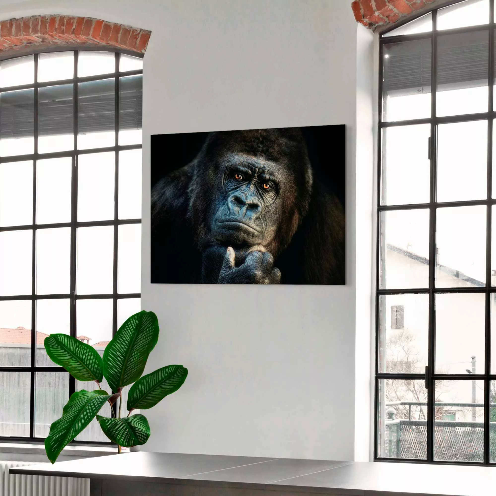 Platinum Alu-Dibond-Druck »Gorilla«, 1, (1 St.), Joachim G. Pinkawa günstig online kaufen