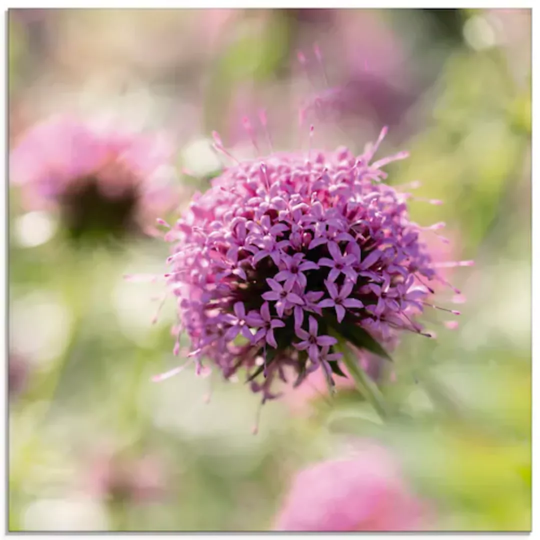 Artland Glasbild "Lila Blüte im Gegenlicht", Blumen, (1 St.), in verschiede günstig online kaufen